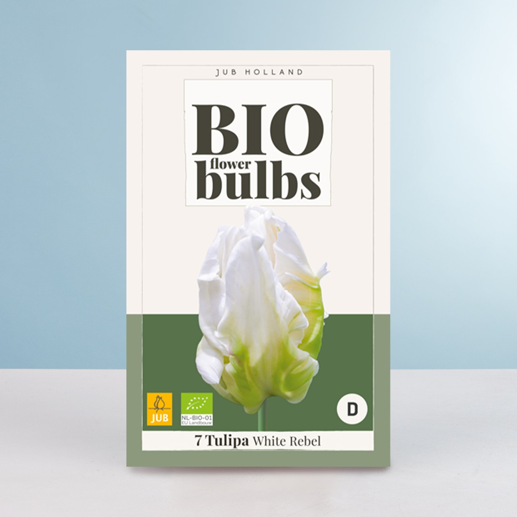 Das Bild zeigt eine Schachtel Bio-Tulpenzwiebeln mit der Aufschrift „Bio-Blumenzwiebeln“ und einer Nahaufnahme einer weißen Tulpenblüte im Vordergrund vor einem hellblauen Hintergrund.