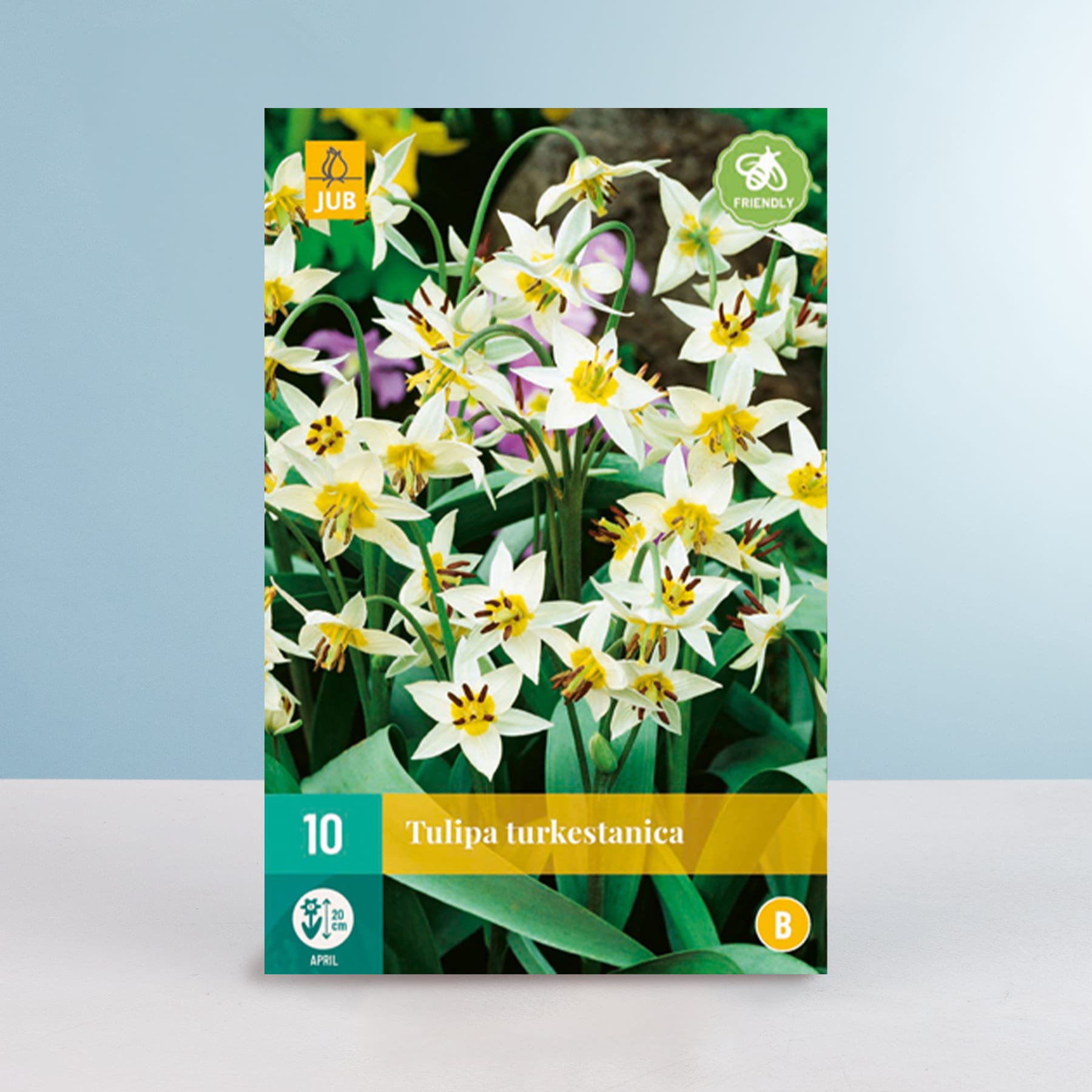 Das Bild zeigt eine Nahaufnahme einer Gruppe weißer und gelber Tulpen mit grünem Laub vor einem hellblauen Hintergrund.