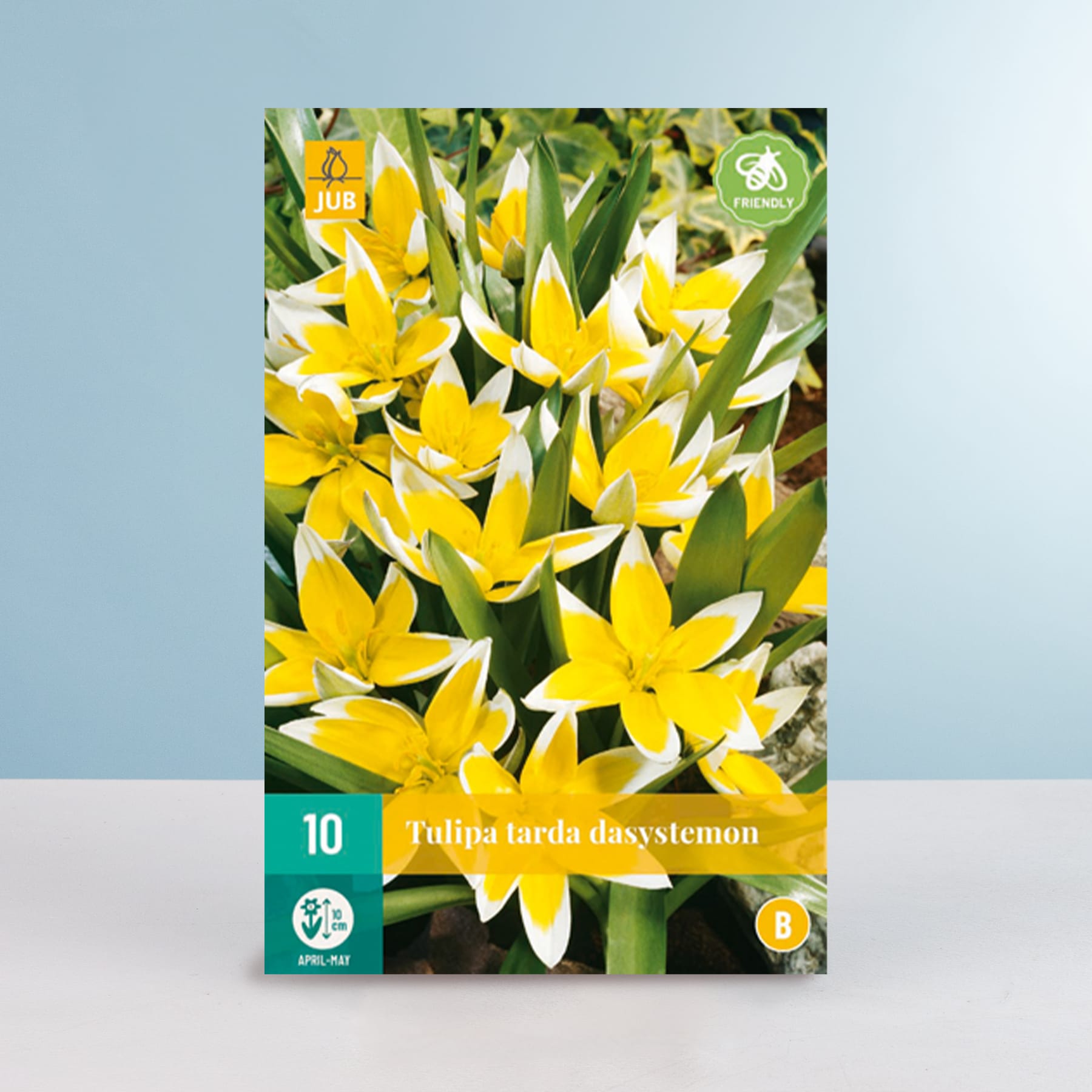 Das Bild zeigt eine Nahaufnahme mehrerer leuchtend gelber Tulpen mit grünen Blättern vor einem hellblauen Hintergrund.