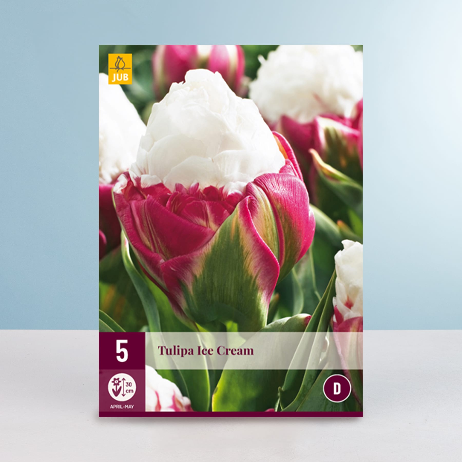 Das Bild zeigt eine Nahaufnahme einer leuchtenden Tulpenblüte mit zarten weißen Blütenblättern, umgeben von üppigem grünem Laub vor einem sanften blauen Hintergrund.