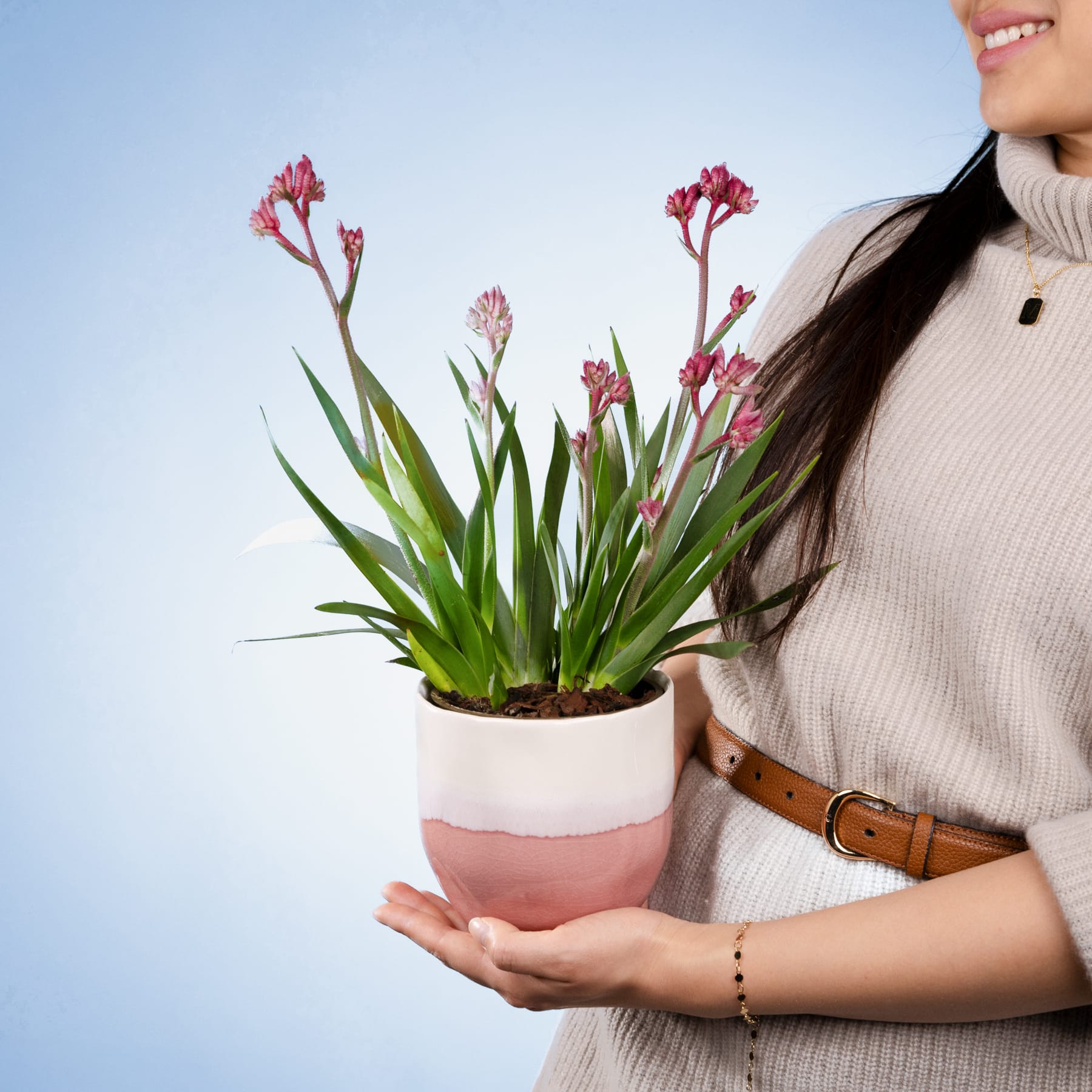Eine Frau in einem cremefarbenen Pullover hält eine Topfpflanze mit leuchtend roten Blüten vor einem schlichten weißen Hintergrund.