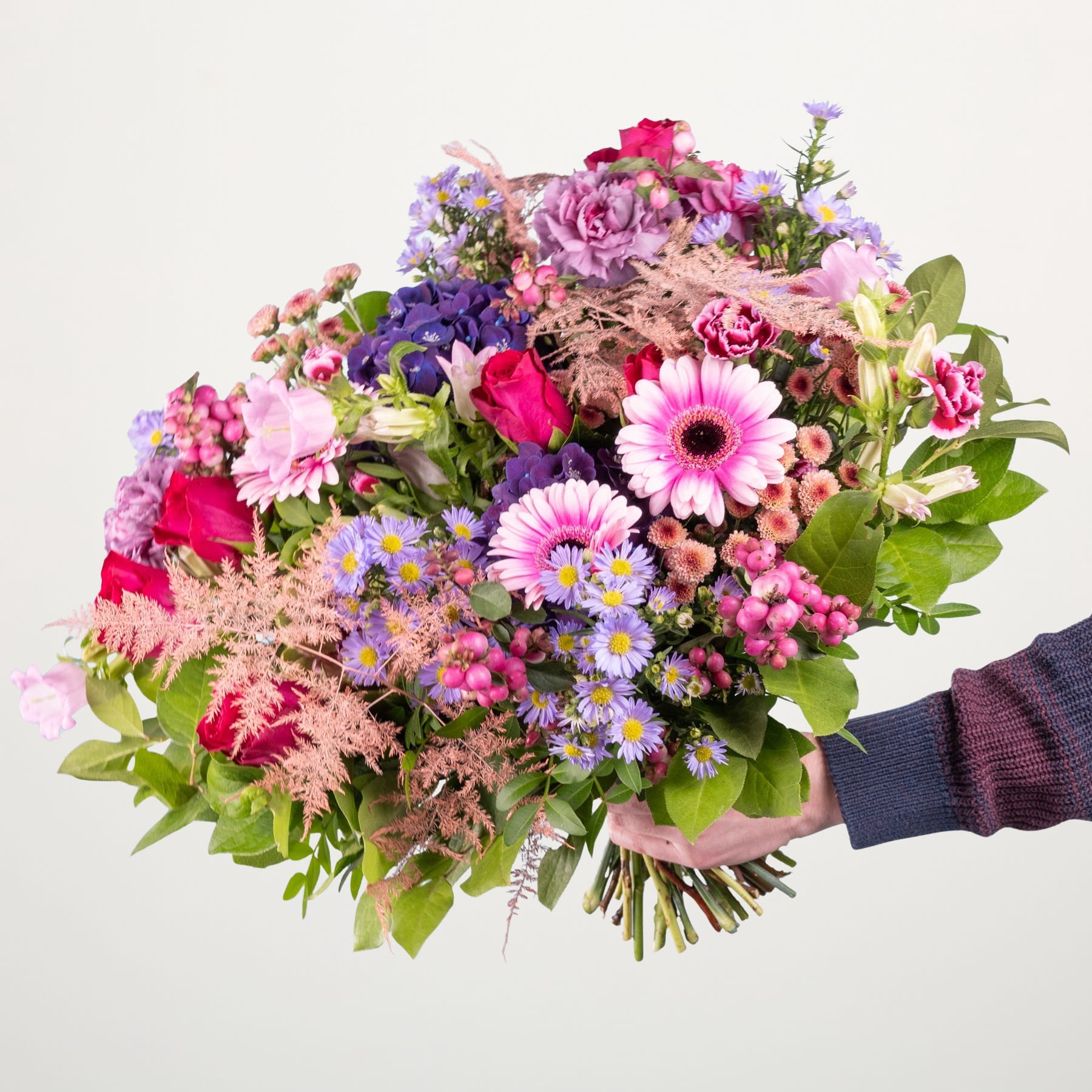 Ein lebendiger Strauß verschiedener bunter Blumen, darunter rosa Rosen, lila Gänseblümchen und grünes Laub, wird vor einem schlichten weißen Hintergrund in den Händen einer Person gehalten.