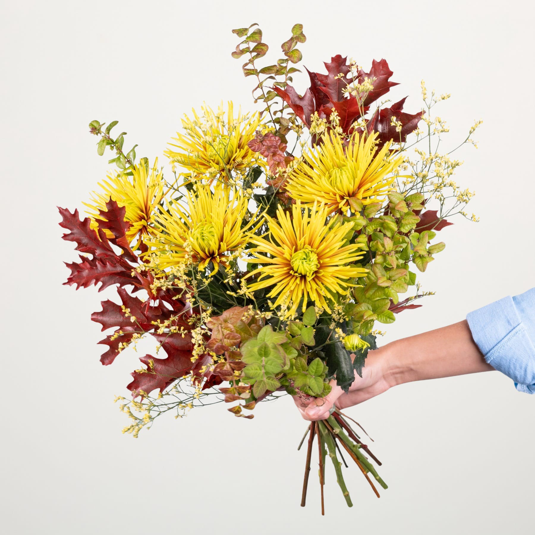 Ein farbenfroher Strauß gelber Chrysanthemen, roter Ahornblätter und anderer Herbstblätter wird vor einem schlichten weißen Hintergrund in den Händen einer Person gehalten.