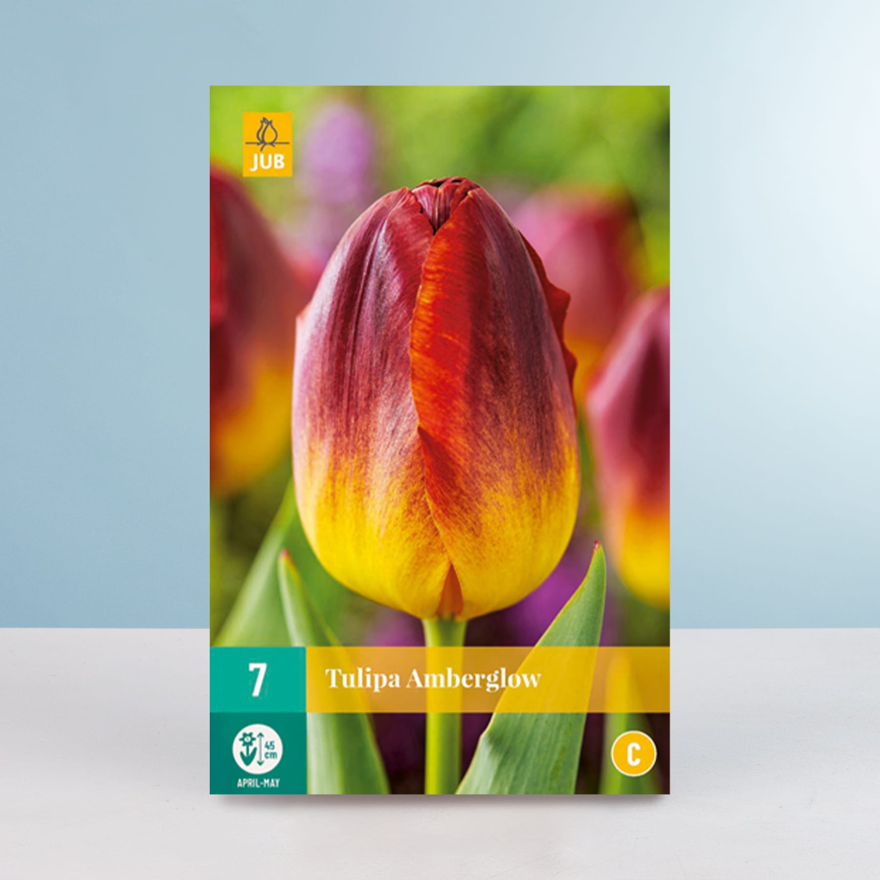 Eine leuchtende Tulpe mit roten und gelben Blütenblättern sticht vor einem verschwommenen grün-blauen Hintergrund hervor.