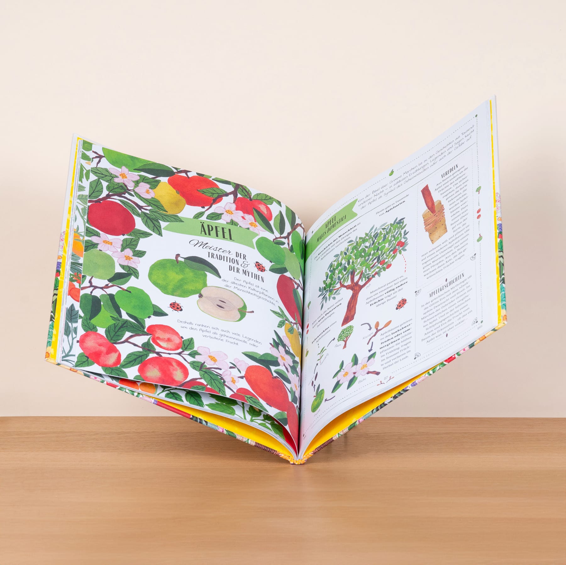 Im Garten - Buch, gebunden
