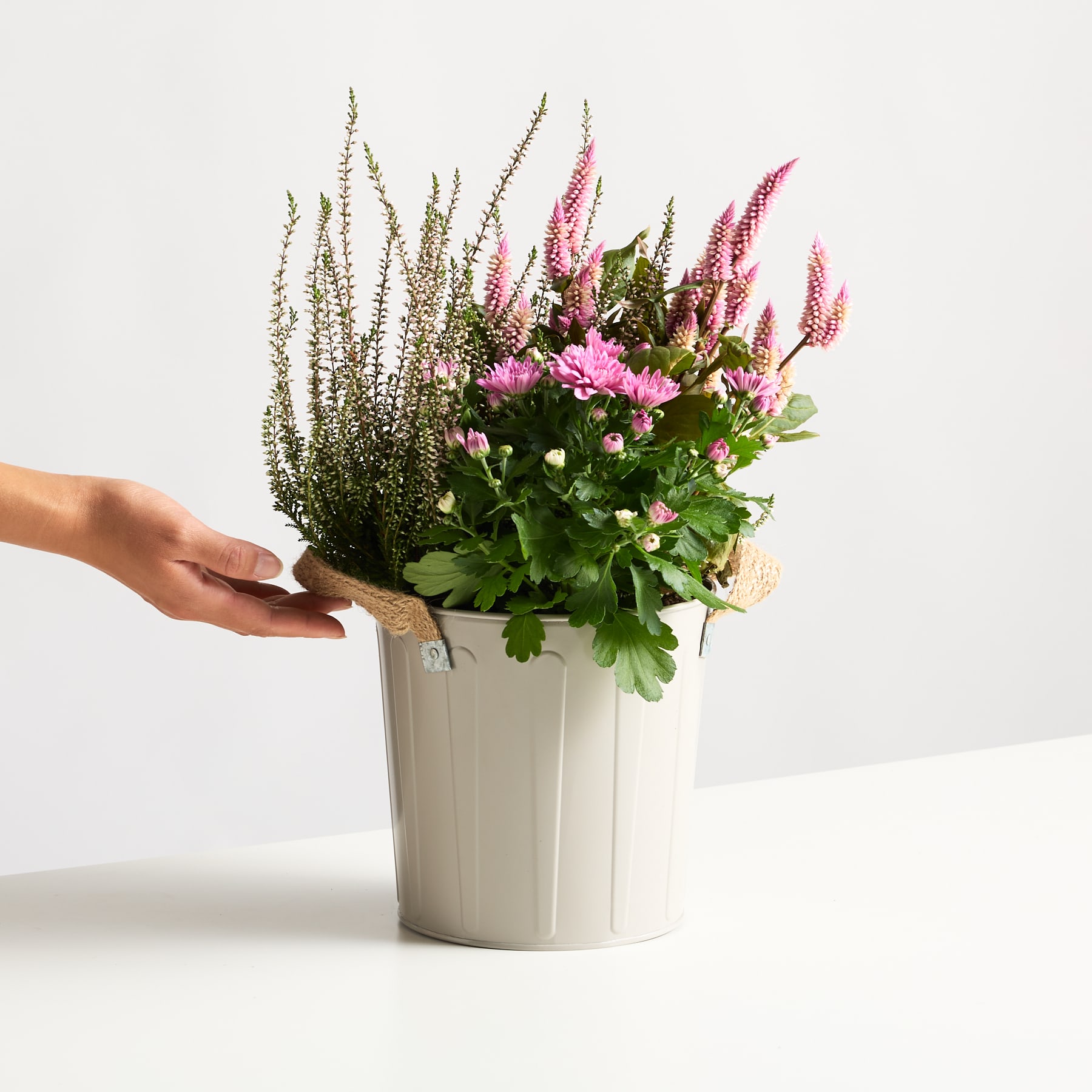 Ein farbenfroher Strauß verschiedener Blumen, darunter rosa und violette Blüten, steht in einer weißen Keramikvase vor einem schlichten weißen Hintergrund.