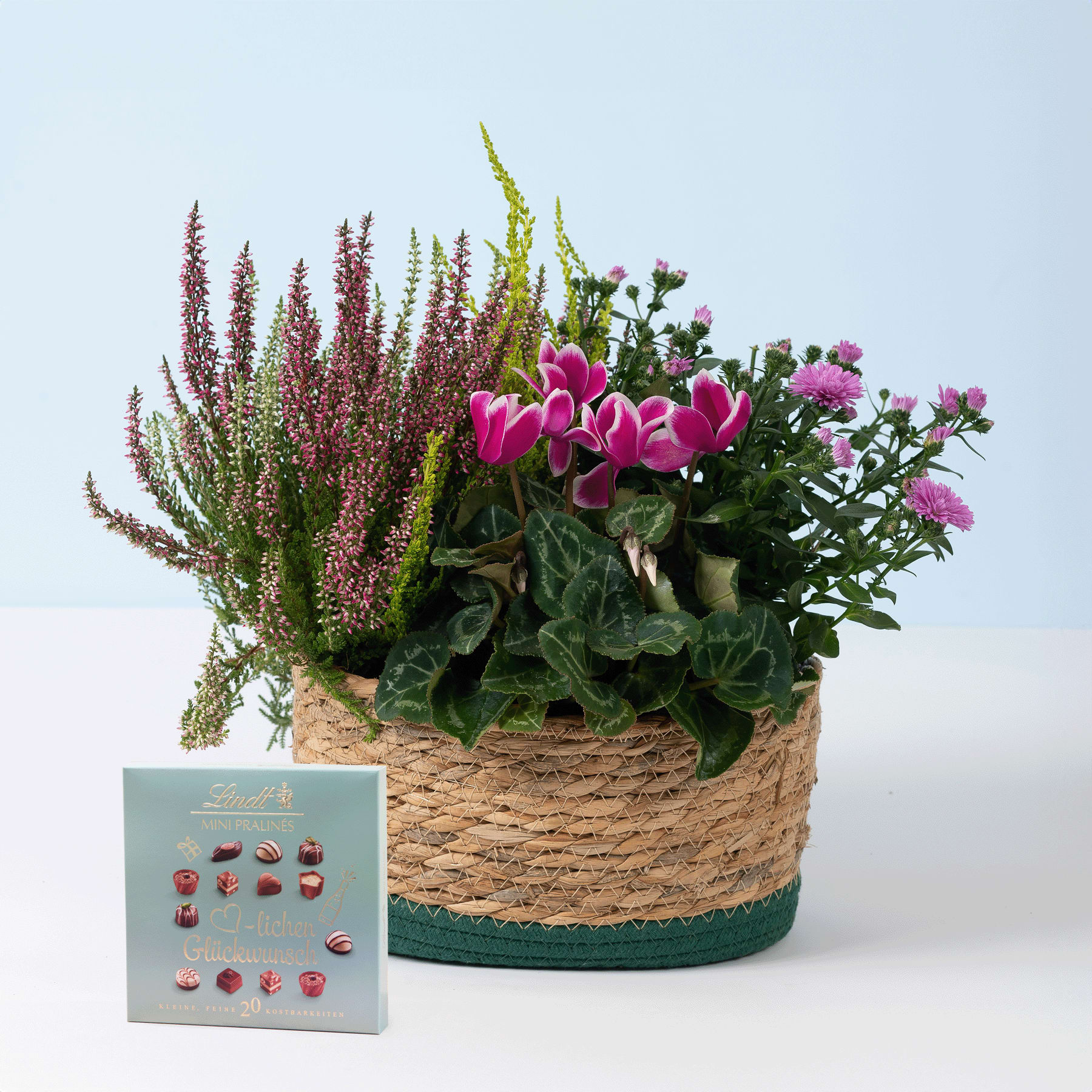 Ein geflochtener Korb, gefüllt mit einem farbenfrohen Arrangement aus violetten und rosa Blumen, darunter Heidekraut und Alpenveilchen, steht auf einer hellen Oberfläche vor einem schlichten Hintergrund.