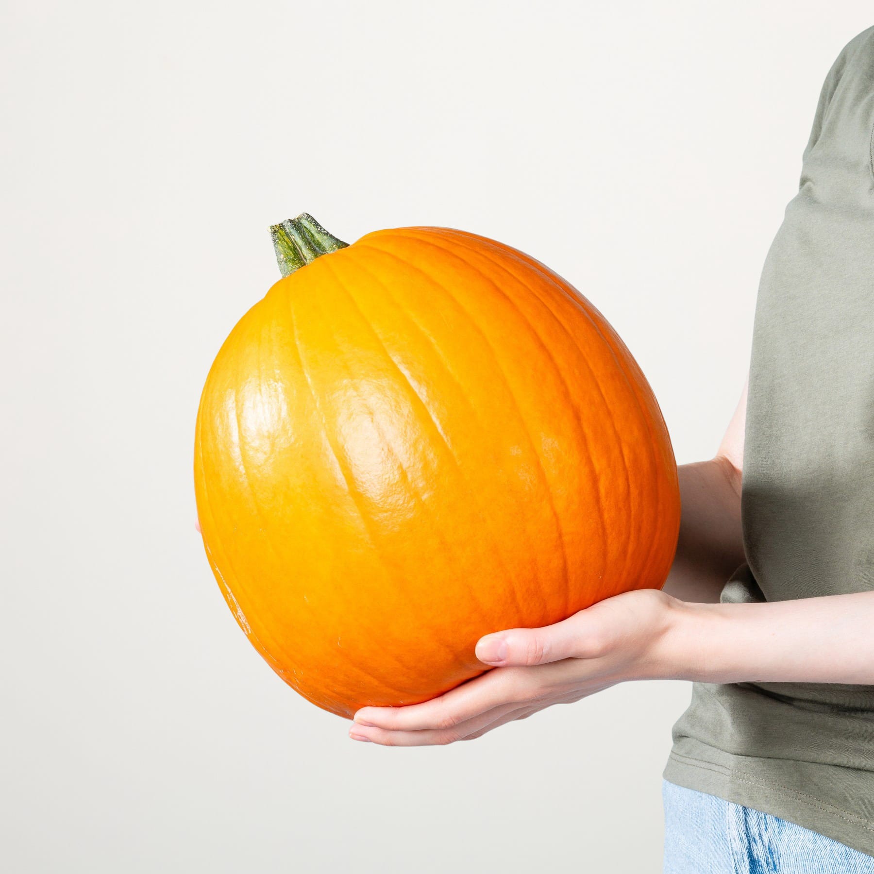 Ein großer, leuchtend orangefarbener Kürbis wird in den Händen einer Person gehalten, die ein graues Hemd vor einem schlichten weißen Hintergrund trägt.