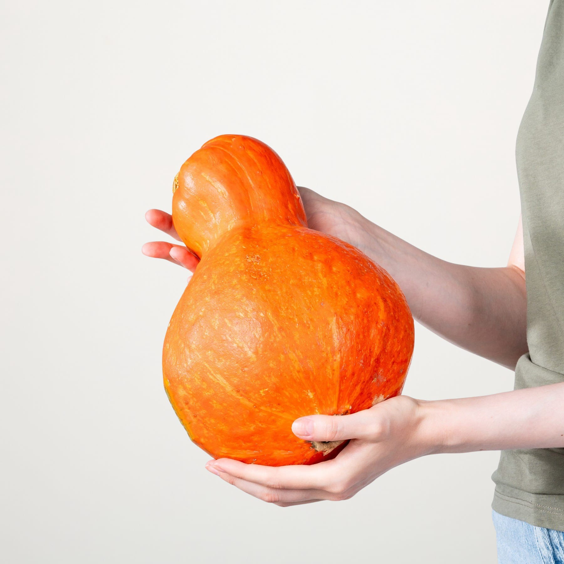 Die Hände einer Person halten einen großen, leuchtend orangefarbenen Kürbis vor einem schlichten weißen Hintergrund.