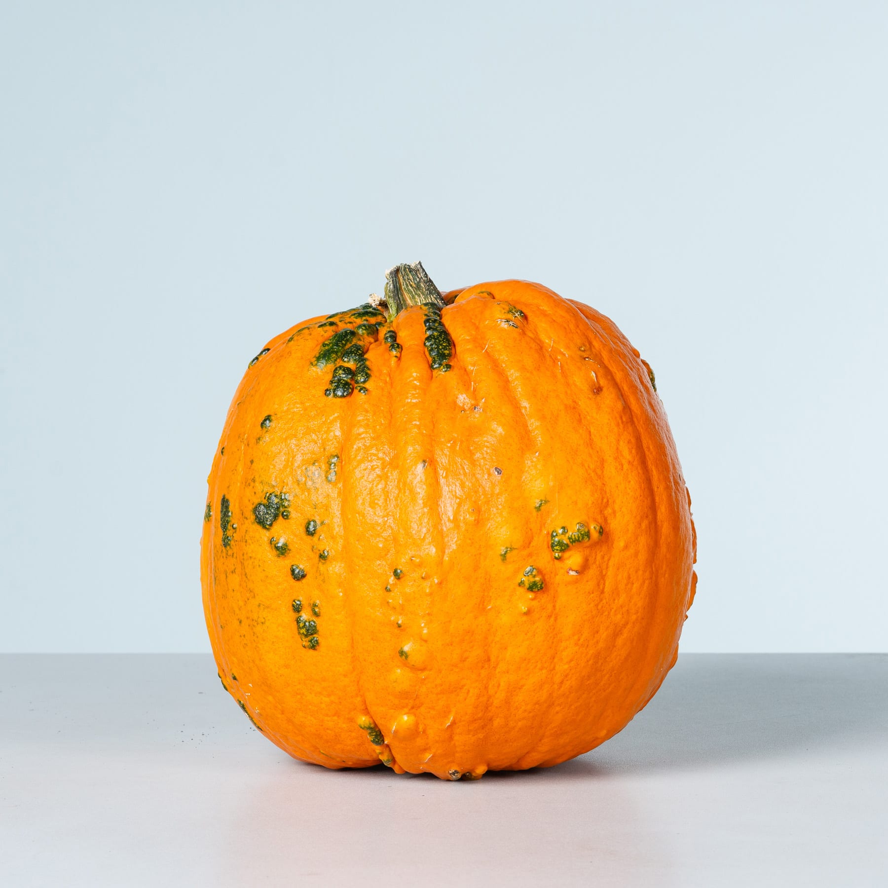 Auf einer schlichten, hellen Oberfläche liegt ein leuchtend orangefarbener Kürbis, dessen Oberfläche mit kleinen grünen Flecken und Schönheitsfehlern übersät ist.
