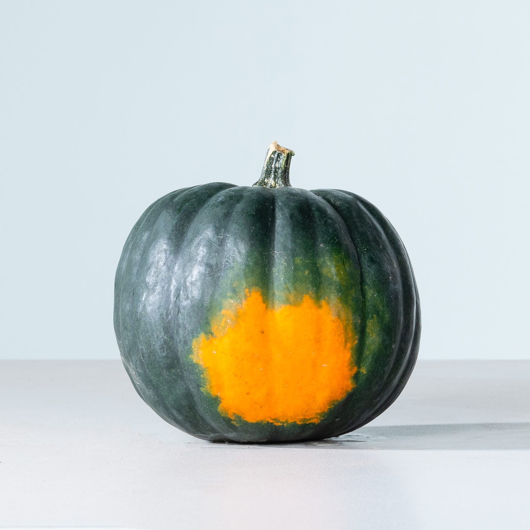 Ein dunkelgrüner Kürbis mit einem orangefarbenen Fleck liegt auf einer hellen Oberfläche vor einem schlichten Hintergrund.