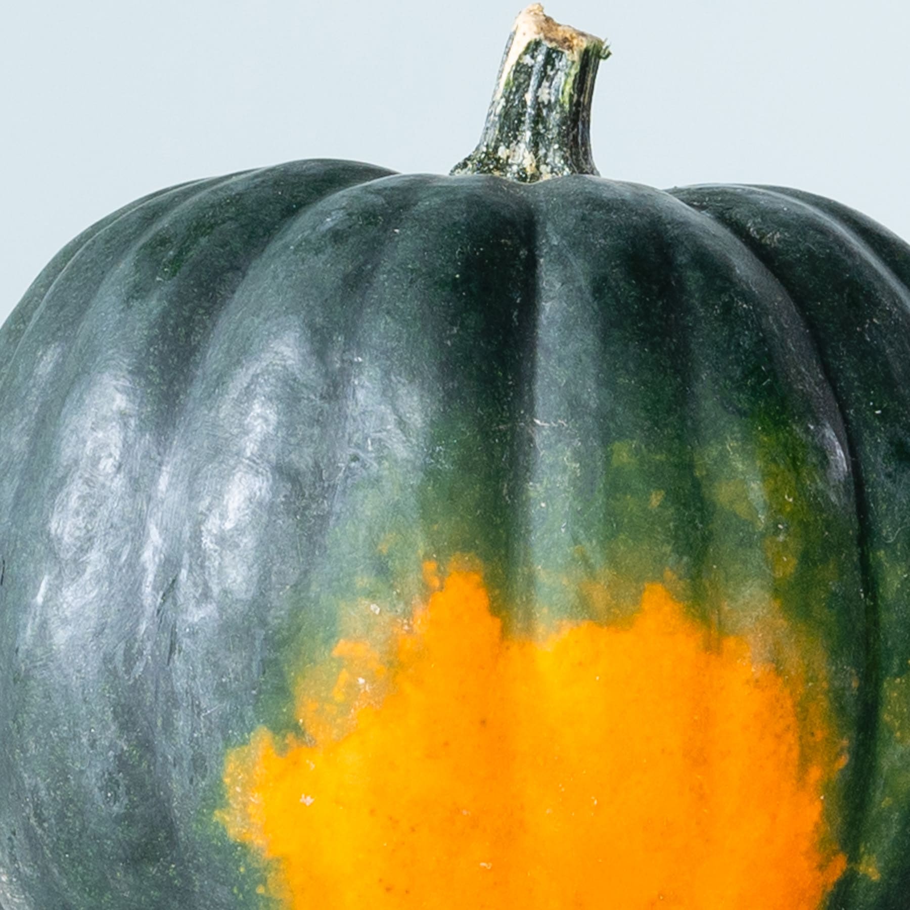 Ein großer, dunkelgrüner Kürbis mit leuchtend orangefarbenen Flecken auf der Oberfläche vor einem schlichten Hintergrund.