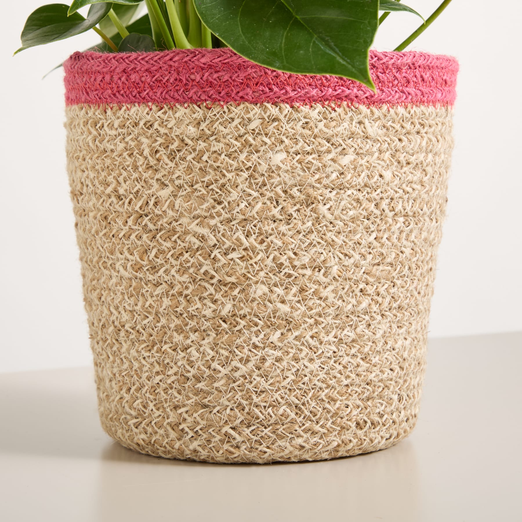 Ein leuchtender Strauß rosa Anthurienblüten in einem geflochtenen Korb vor einem schlichten hellblauen Hintergrund.