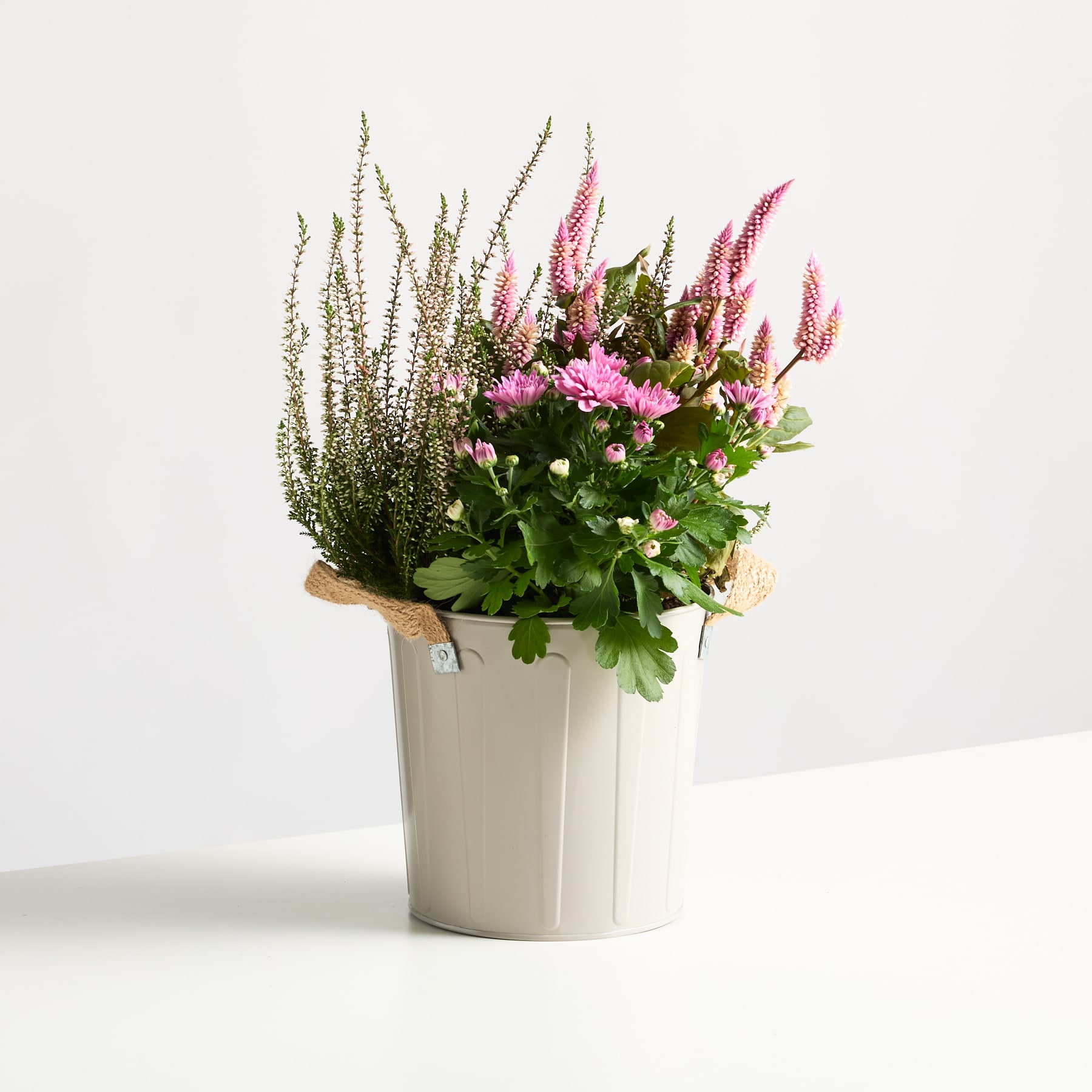 Ein Strauß verschiedener bunter Blumen, darunter rosa und weiße Blüten, arrangiert in einer weißen Keramikvase vor einem schlichten weißen Hintergrund.