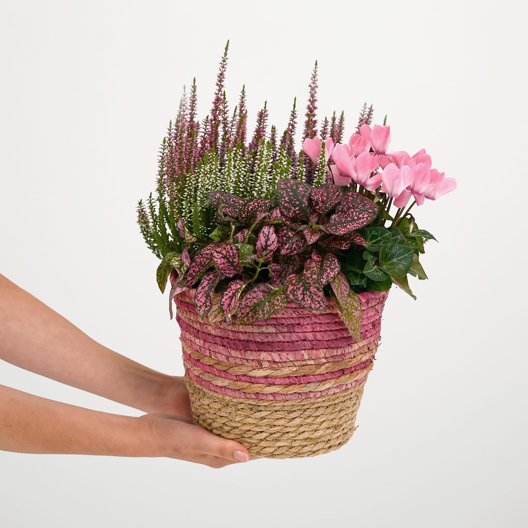 Eine Hand hält einen geflochtenen Korb, gefüllt mit verschiedenen leuchtend rosa und violetten Blumen und Grünpflanzen vor einem schlichten weißen Hintergrund.