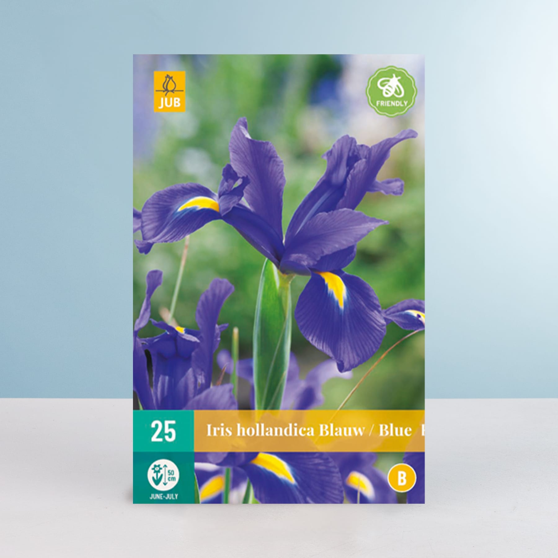 Das Bild zeigt eine Nahaufnahme mehrerer leuchtend violetter Irisblüten mit gelber Mitte vor einem unscharfen grün-blauen Hintergrund.