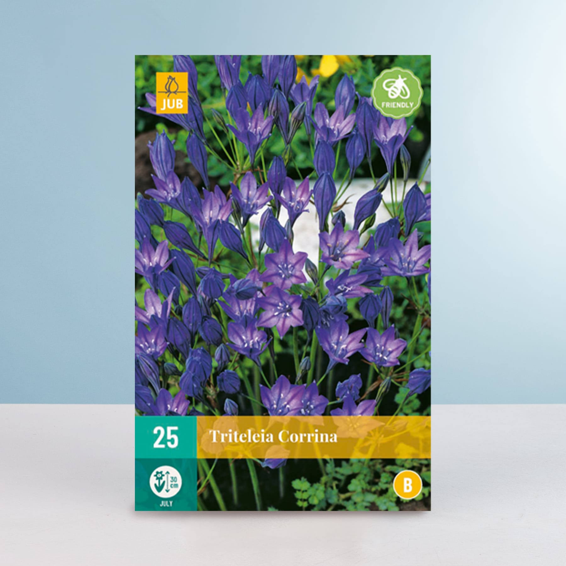 Eine leuchtende Pracht violetter Fritillaria Corrina-Blüten vor einem Hintergrund aus üppigem Grün.