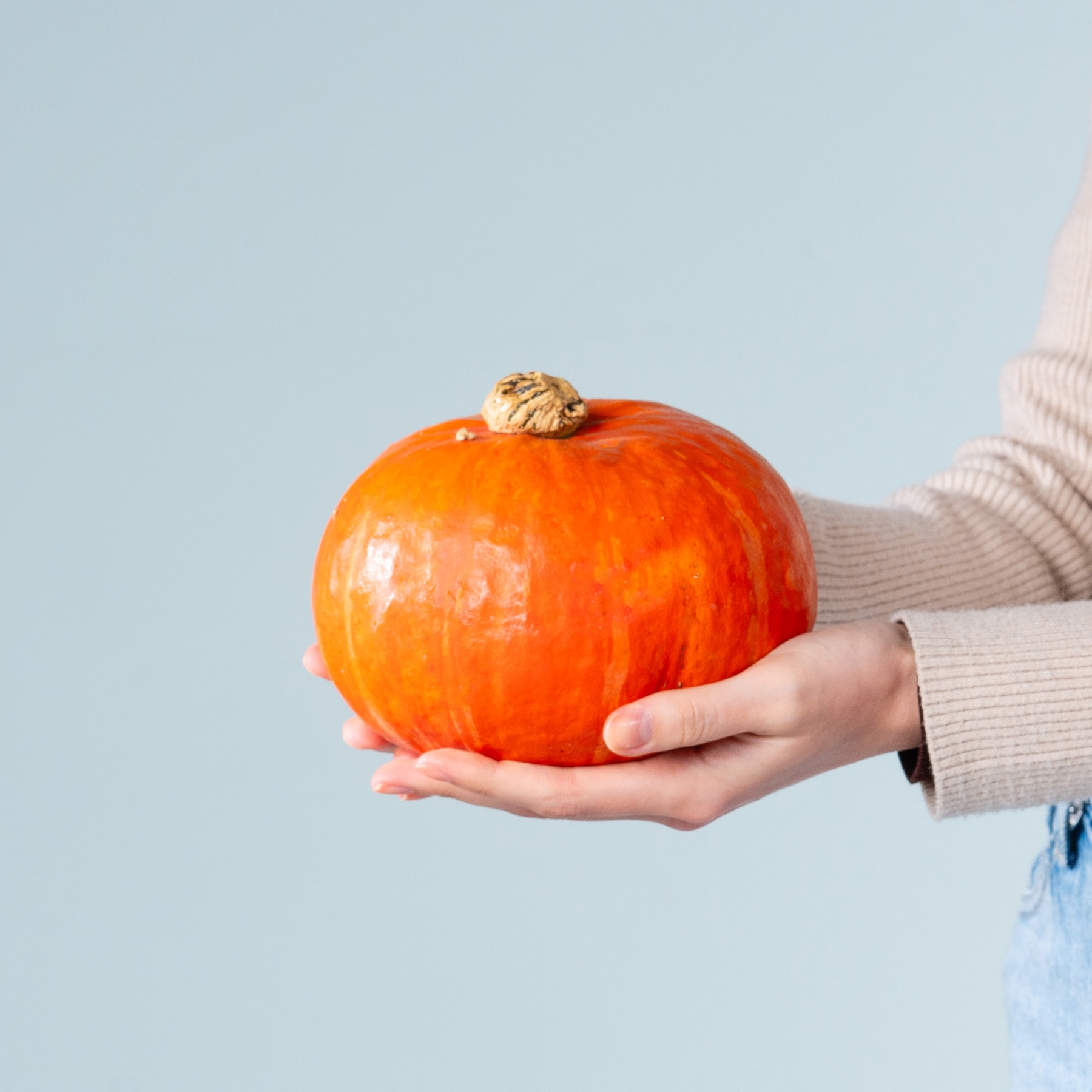Die Hände einer Person halten einen großen, leuchtend orangefarbenen Kürbis vor einem schlichten, hellblauen Hintergrund.