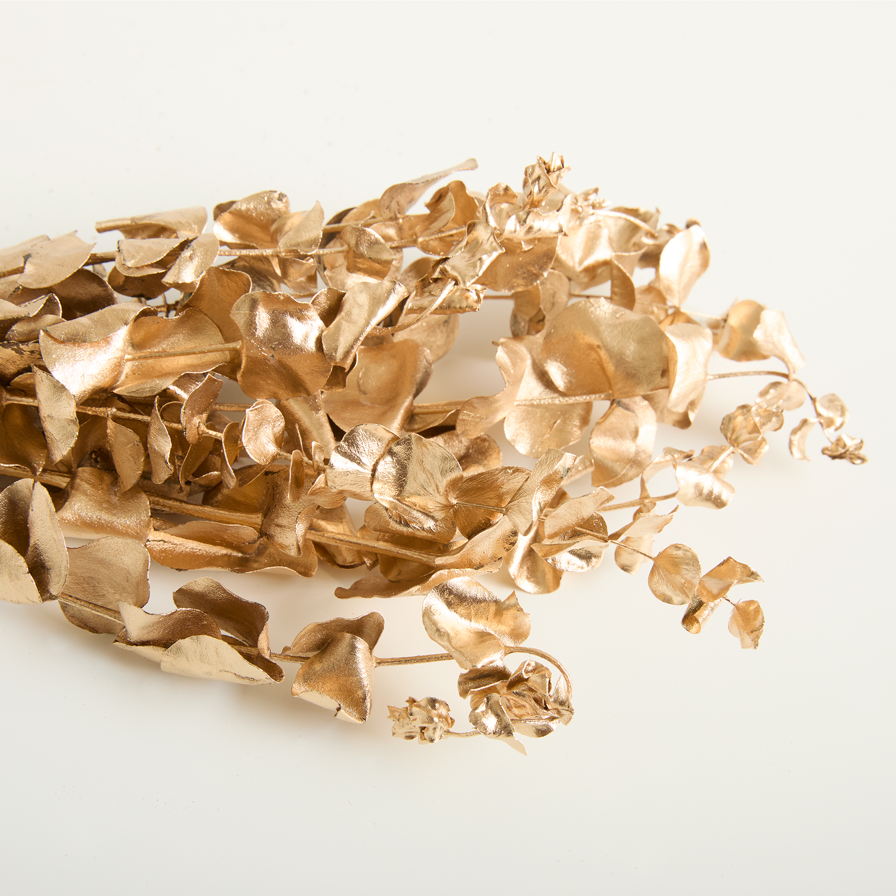Ein Haufen getrockneter, zerknitterter Blätter oder Blütenblätter in Goldbrauntönen, die in einer verstreuten, organischen Formation vor einem schlichten, hellen Hintergrund angeordnet sind.