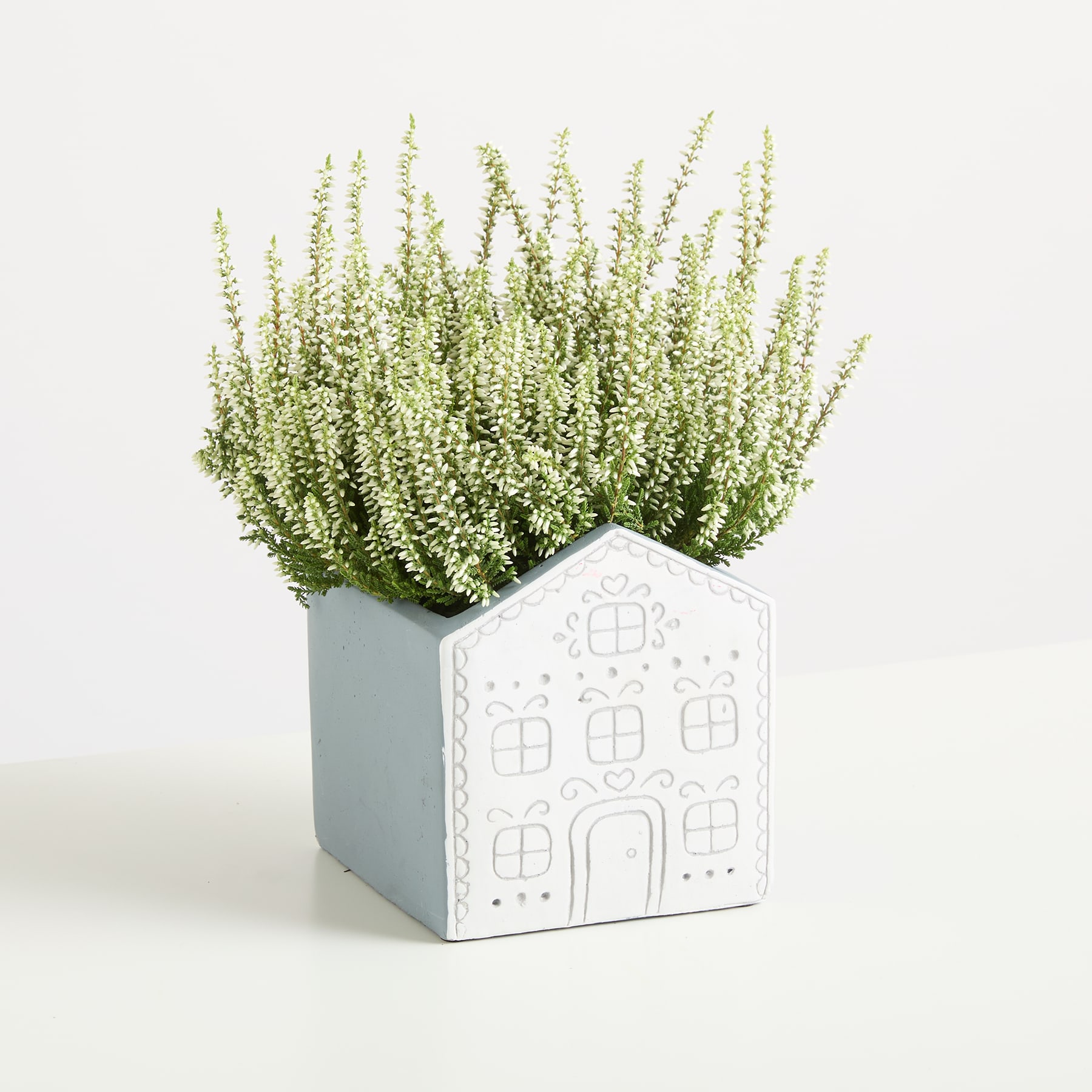 Ein kleiner, weißer Blumentopf in Hausform, gefüllt mit üppigen, grünen, blühenden Pflanzen vor einem schlichten weißen Hintergrund.