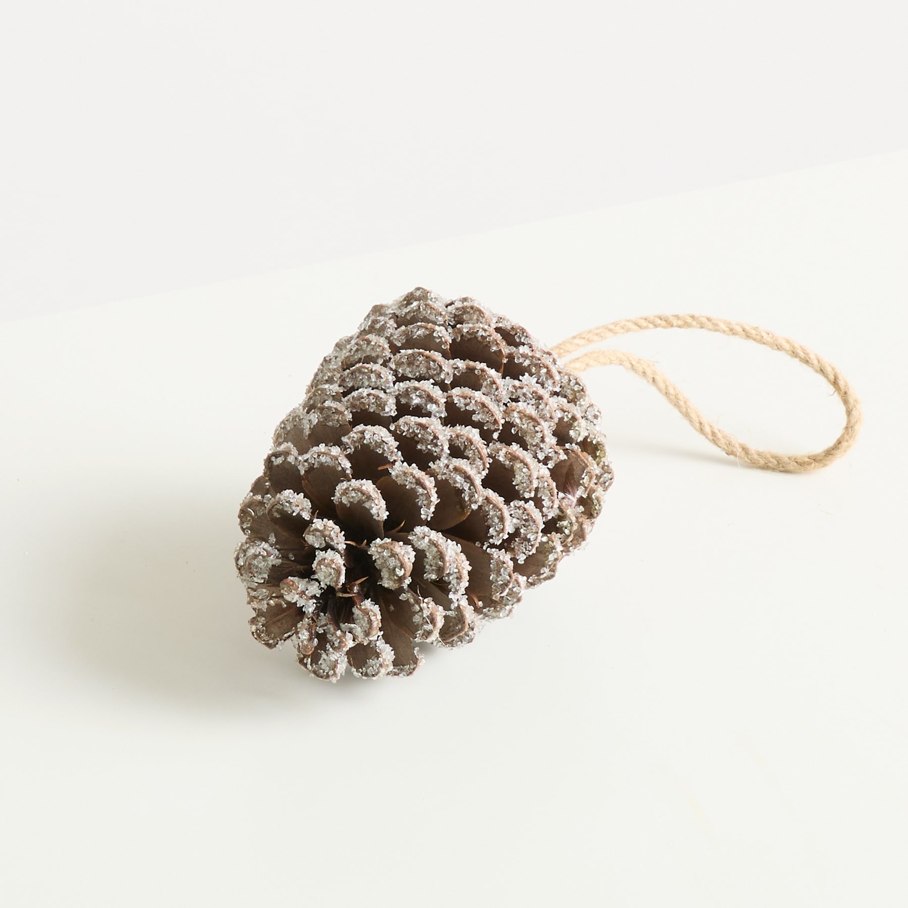 Ein großer, strukturierter Tannenzapfen mit einem daran befestigten Seil, der auf einem schlichten weißen Hintergrund ruht.