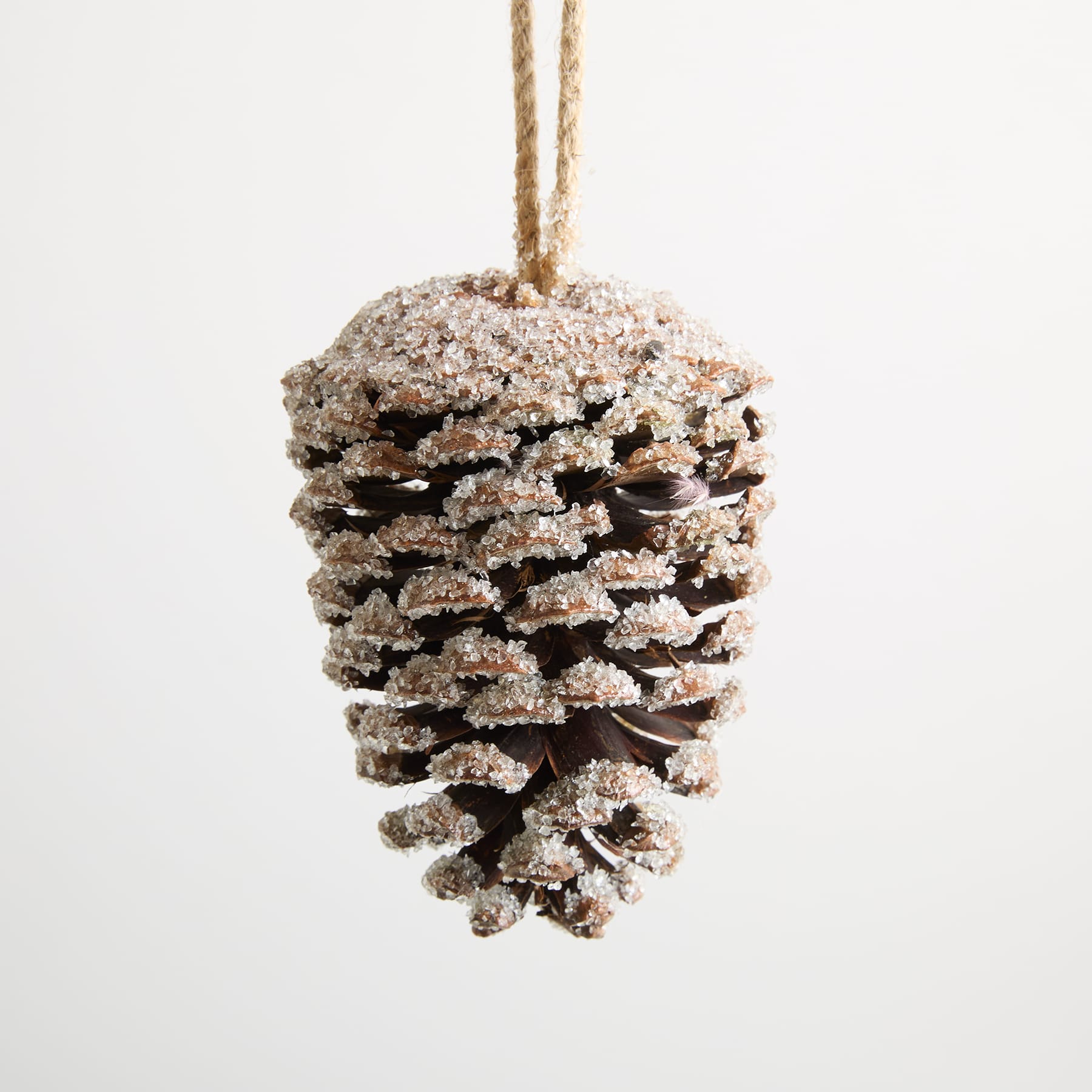 Ein mit Schnee oder Frost bedeckter Tannenzapfen, der an einer Schnur vor einem schlichten weißen Hintergrund hängt.