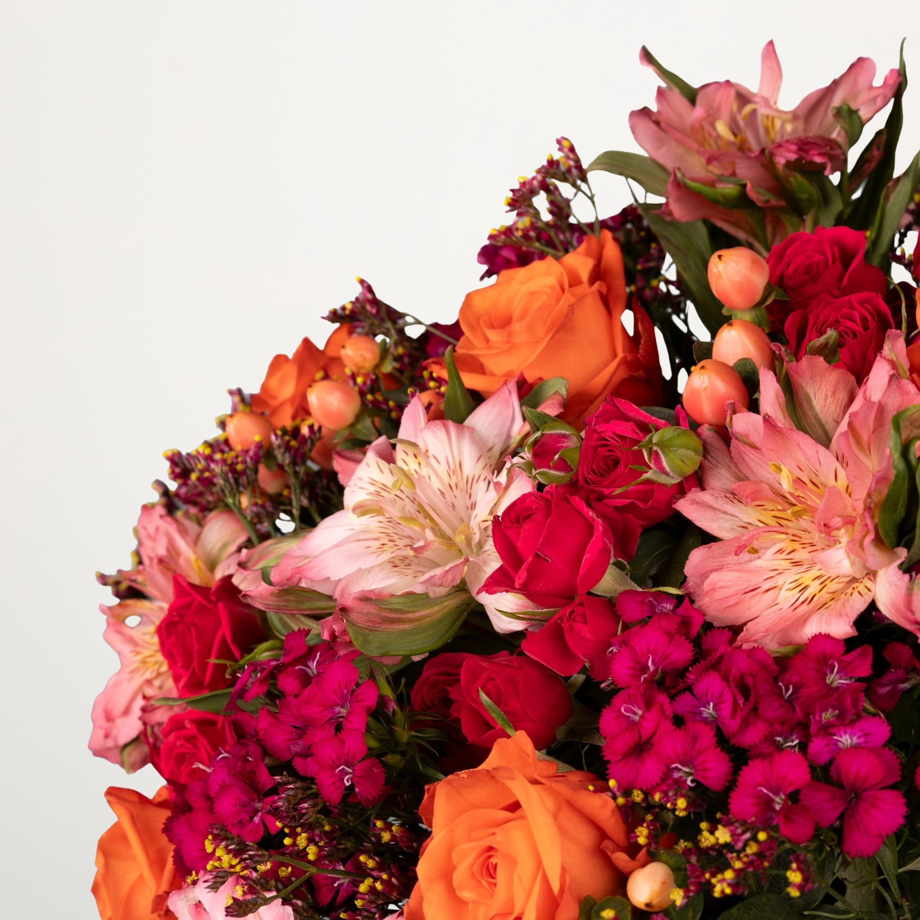 Ein leuchtender Strauß roter, rosa und orangefarbener Blumen, darunter Rosen, Inkalilien und andere Blüten, füllt den Rahmen vor einem schlichten weißen Hintergrund.