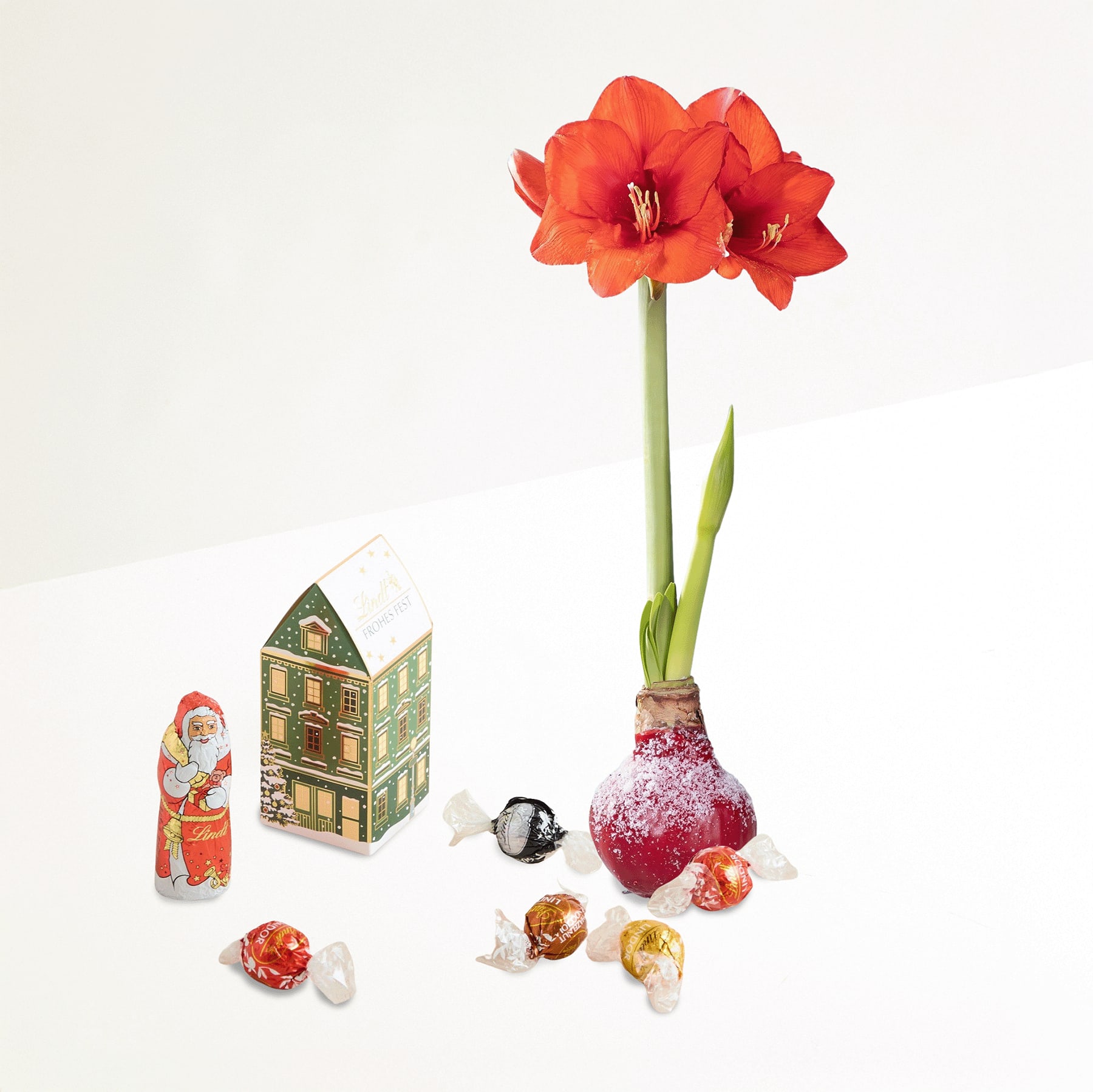 Das Bild zeigt eine leuchtend rote Amaryllisblüte in einer Vase, begleitet von verschiedenen weihnachtlichen Dekorationen und Ornamenten, darunter eine Weihnachtsmannfigur, eine kleine Geschenkbox und verstreute Ornamente auf einem schlichten Hintergrund.