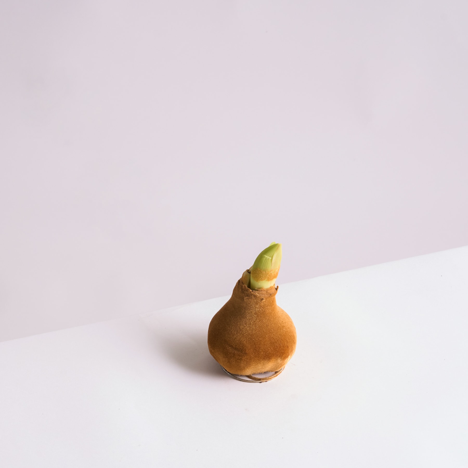 Eine einzelne birnenförmige Frucht liegt auf einem schlichten weißen Hintergrund, ihre goldbraune Schale bildet einen Kontrast zur strahlend weißen Oberfläche.