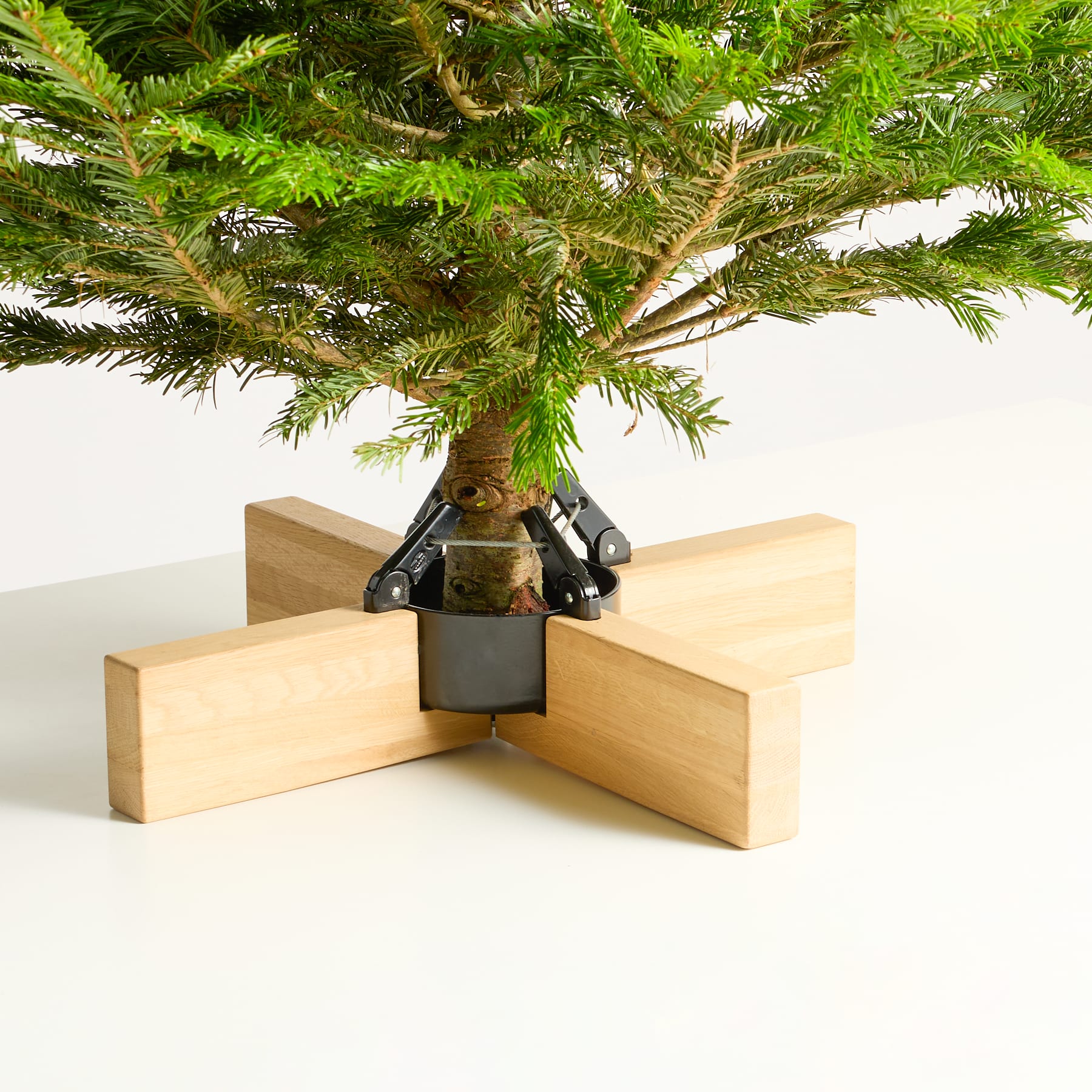 Ein kleiner immergrüner Baum im Topf steht auf einem Holzständer, im Hintergrund ist er von üppigem, grünem Laub umgeben.