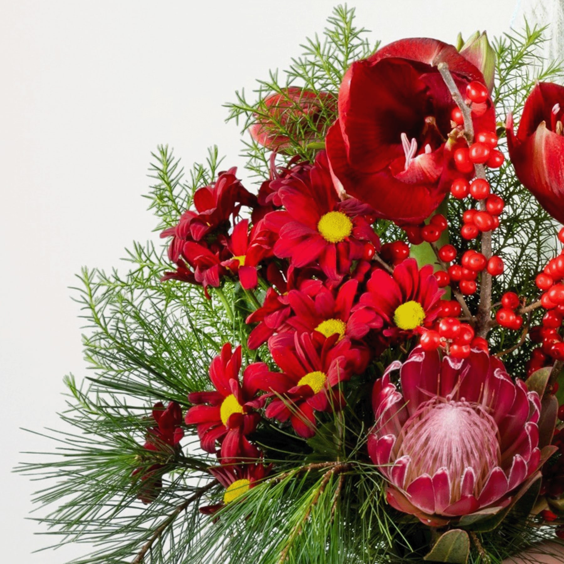 Ein lebendiger Strauß roter Tulpen, Chrysanthemen und anderer üppiger, farbenfroher Blumen, arrangiert mit immergrünem Laub vor einem schlichten Hintergrund.