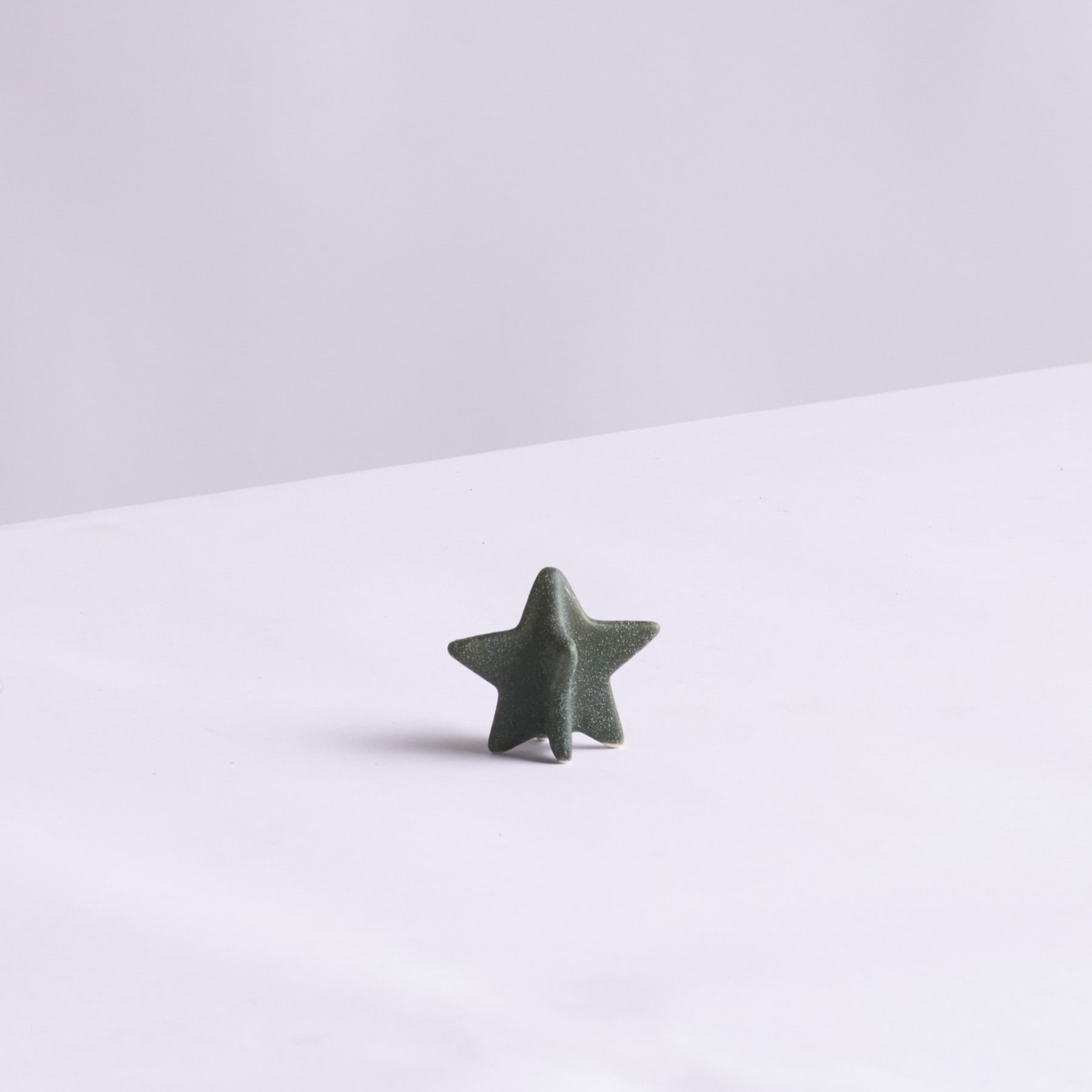 Ein kleines, dunkelgrünes, sternförmiges Objekt liegt auf einem schlichten weißen Hintergrund.