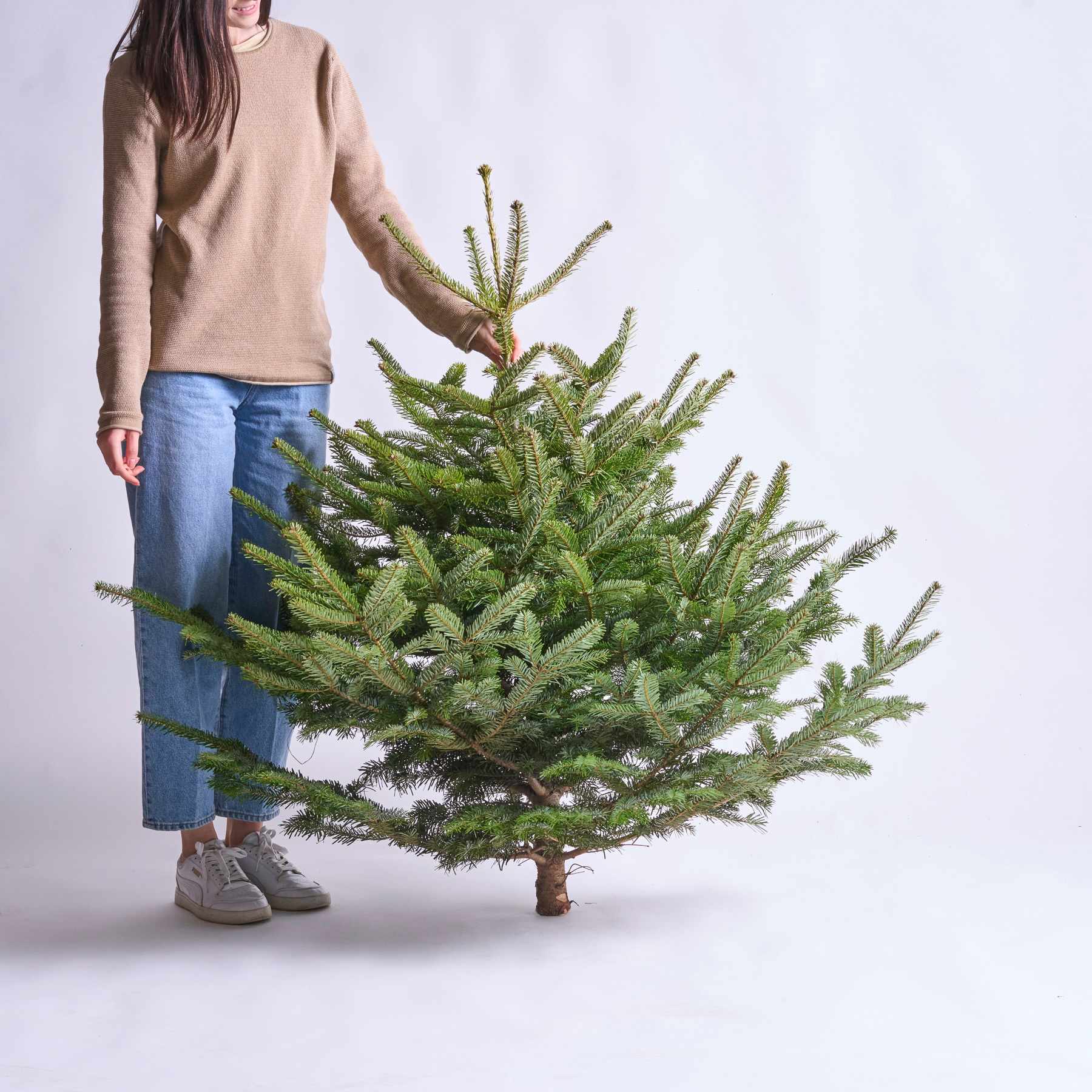 Eine Person in Freizeitkleidung steht neben einem großen, üppigen immergrünen Baum, was eine Feiertags- oder Festszene suggeriert.