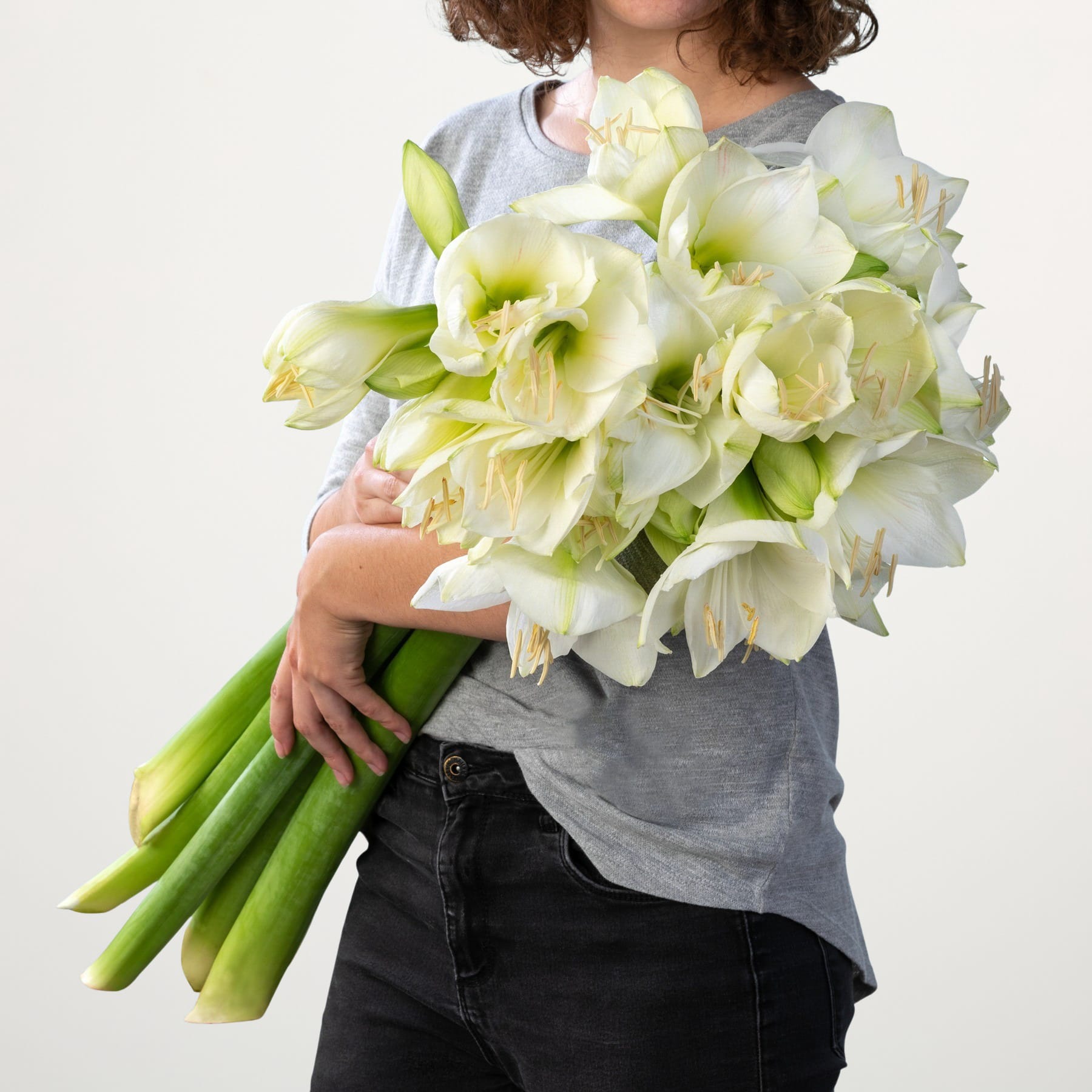 Eine Person hält einen großen Strauß wunderschöner weißer und grüner Blumen vor einem schlichten weißen Hintergrund.
