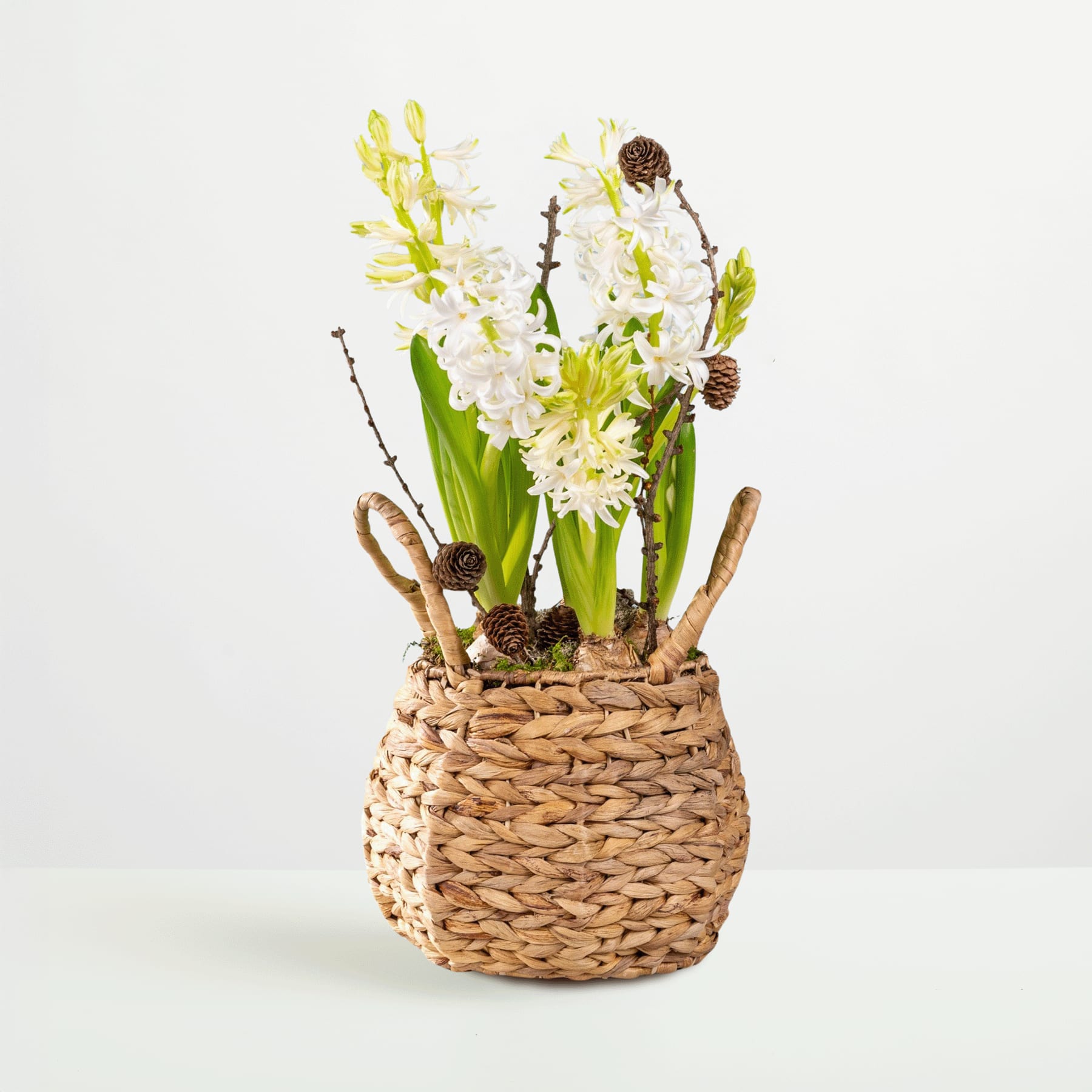 Ein geflochtener Korb voller leuchtend weißer und gelber Blumen, darunter Hyazinthen und Narzissen, steht vor einem schlichten weißen Hintergrund.