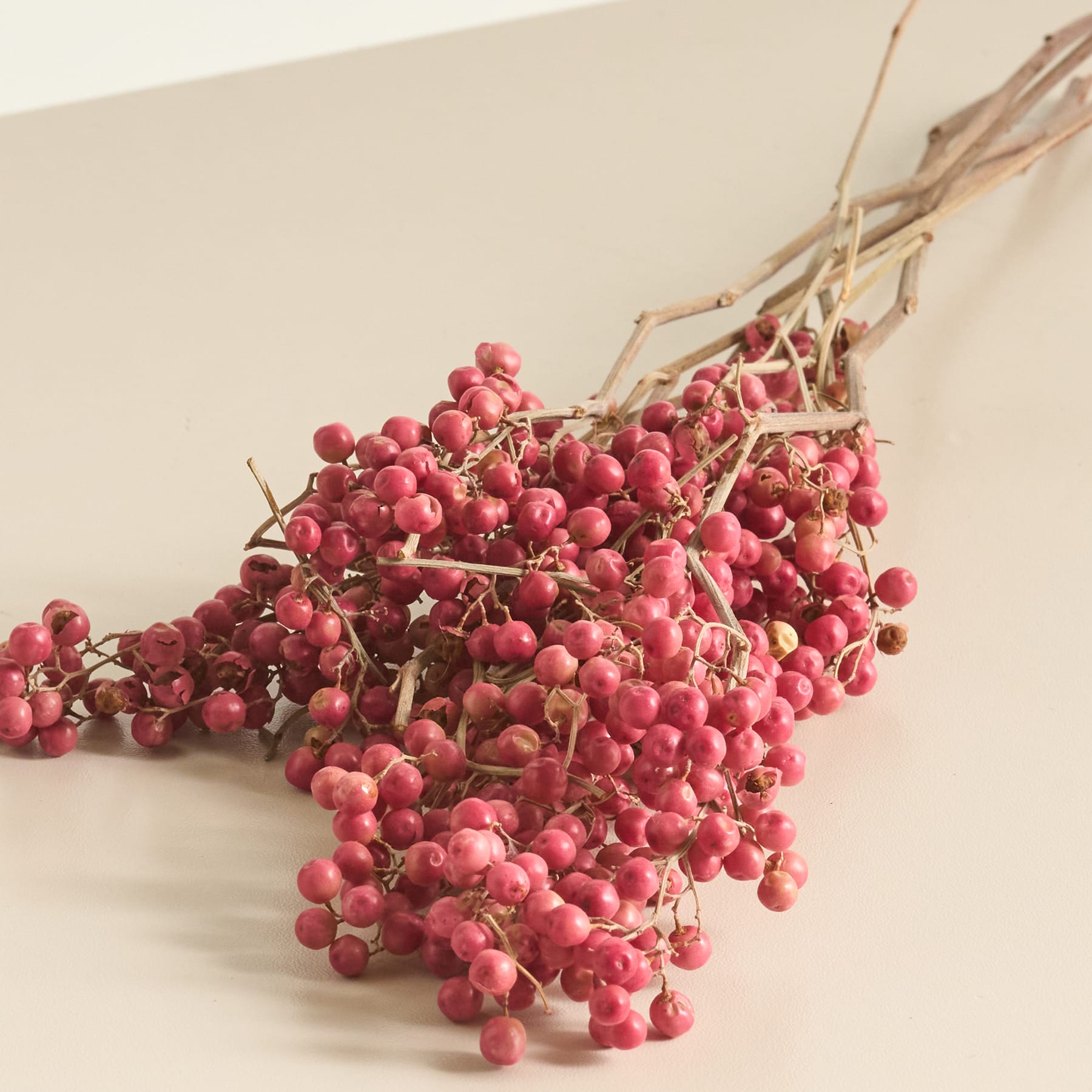 Ein Bündel leuchtender, reifer roter Beeren auf einem zarten Zweig vor einem schlichten, hellen Hintergrund.