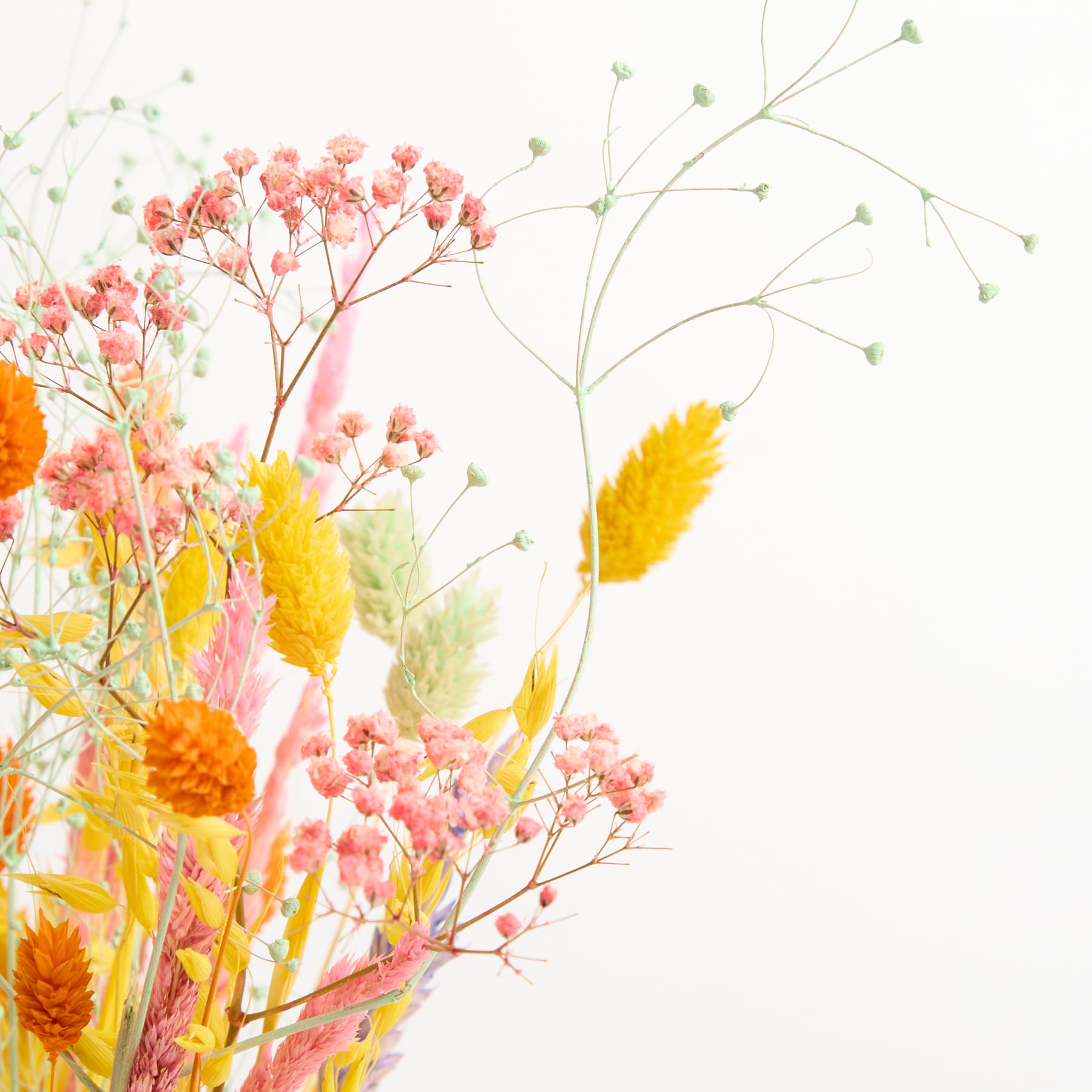 Ein leuchtender Strauß rosa und gelber Blumen, darunter Schleierkraut und Ringelblumen, vor einem schlichten weißen Hintergrund.