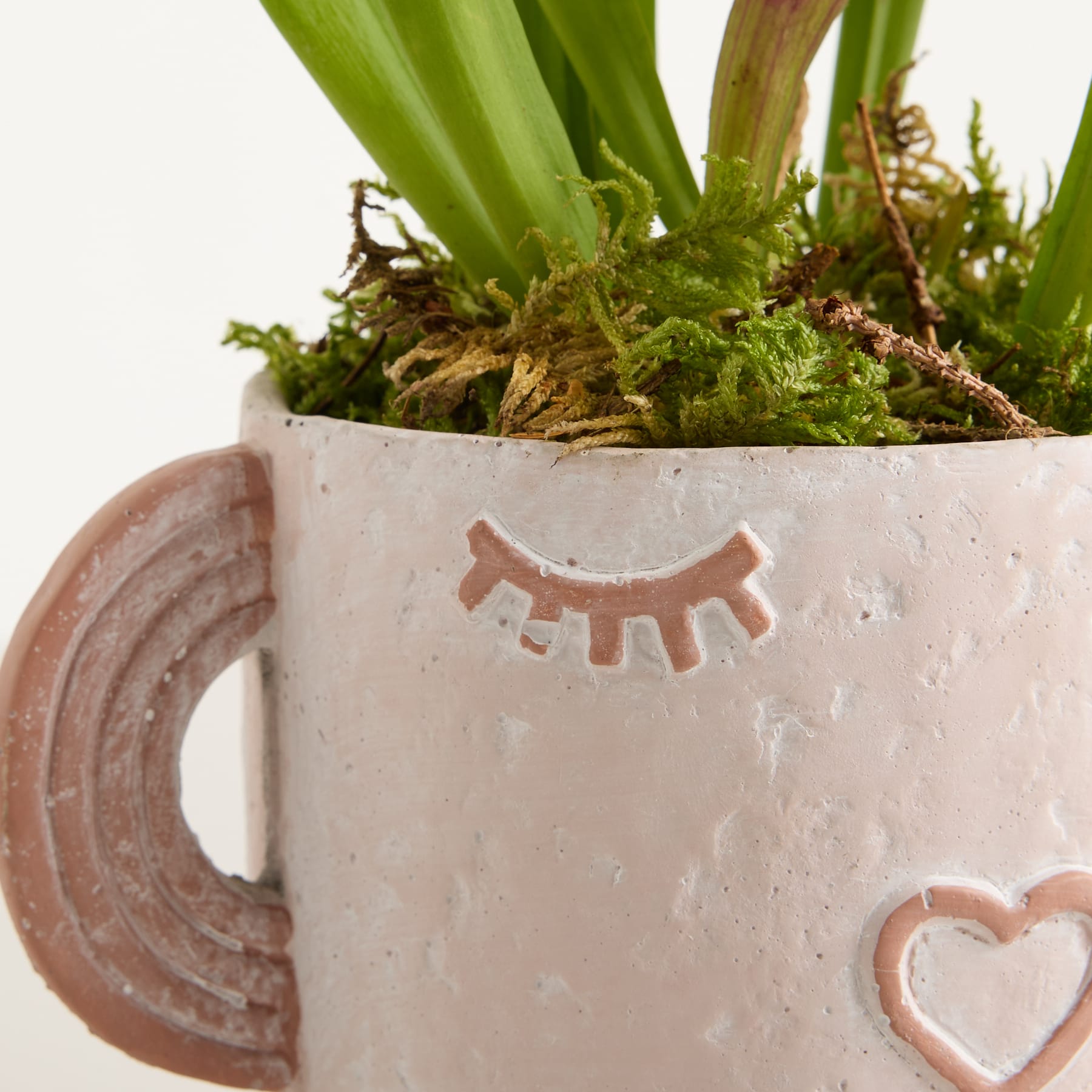 Eine Keramiktasse mit einem lächelnden Gesicht hält ein üppiges Arrangement aus grünen Pflanzen und Moos vor einem schlichten weißen Hintergrund.