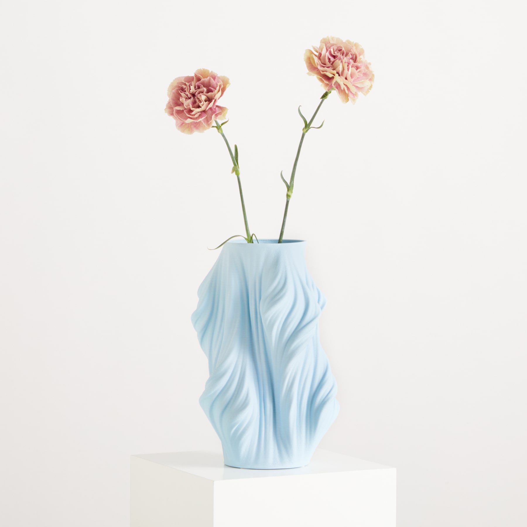Zwei zartrosa Nelken werden in einer hellblauen, gewellten Vase vor einem schlichten weißen Hintergrund präsentiert.