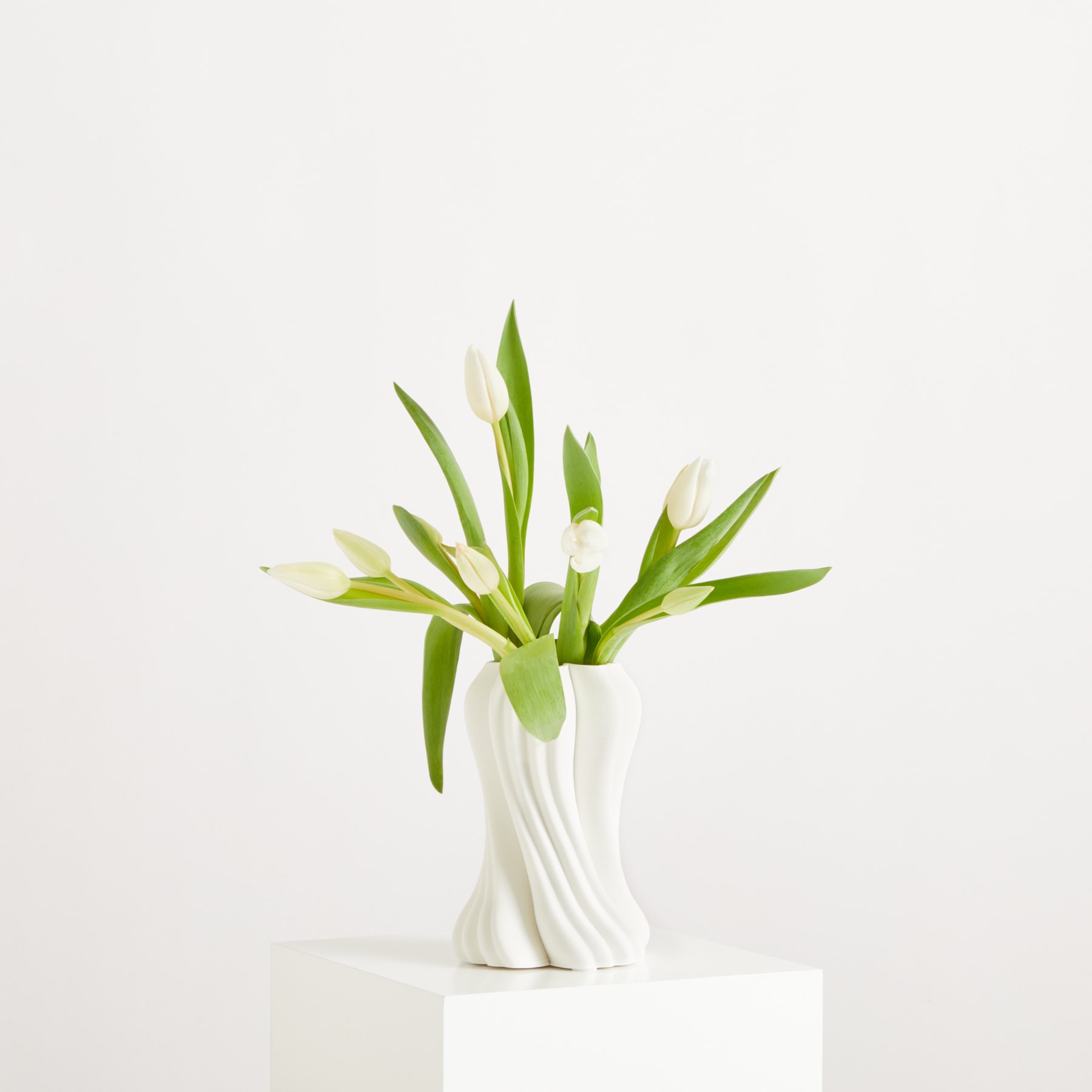 Eine weiße Keramikvase enthält einen Strauß frischer weißer Tulpen mit grünen Blättern vor einem schlichten weißen Hintergrund.