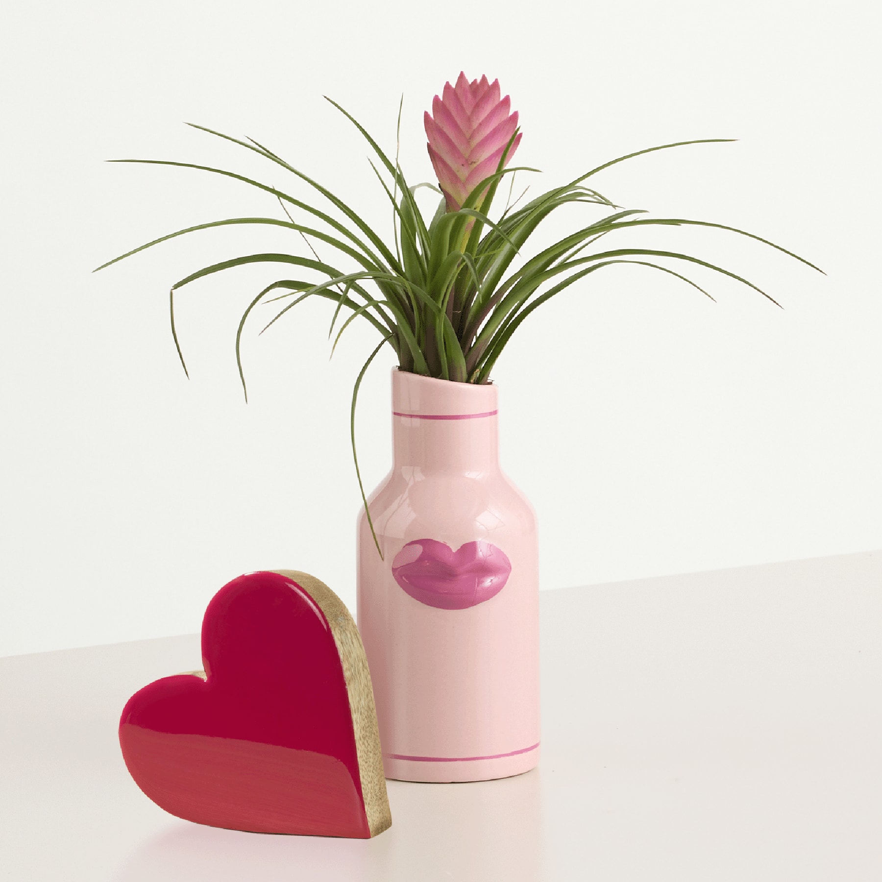 Auf einem Tisch steht eine rosa Vase mit einer leuchtend rosa Bromelie. Im Vordergrund ist ein rotes herzförmiges Objekt auf einem schlichten weißen Hintergrund zu sehen.