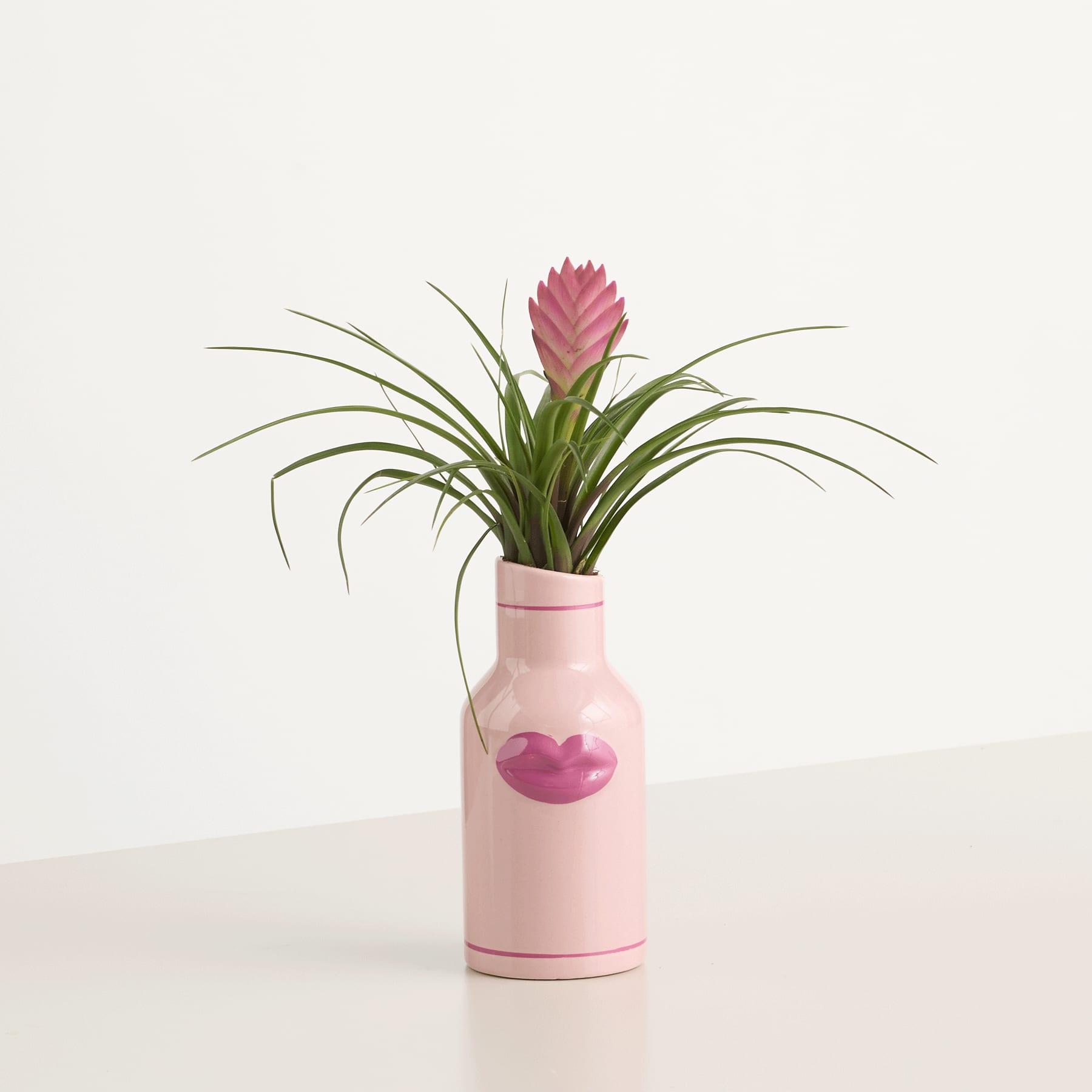 Eine rosafarbene Keramikvase mit herzförmigem Design hält eine leuchtend rosa Bromelie vor einem schlichten weißen Hintergrund.