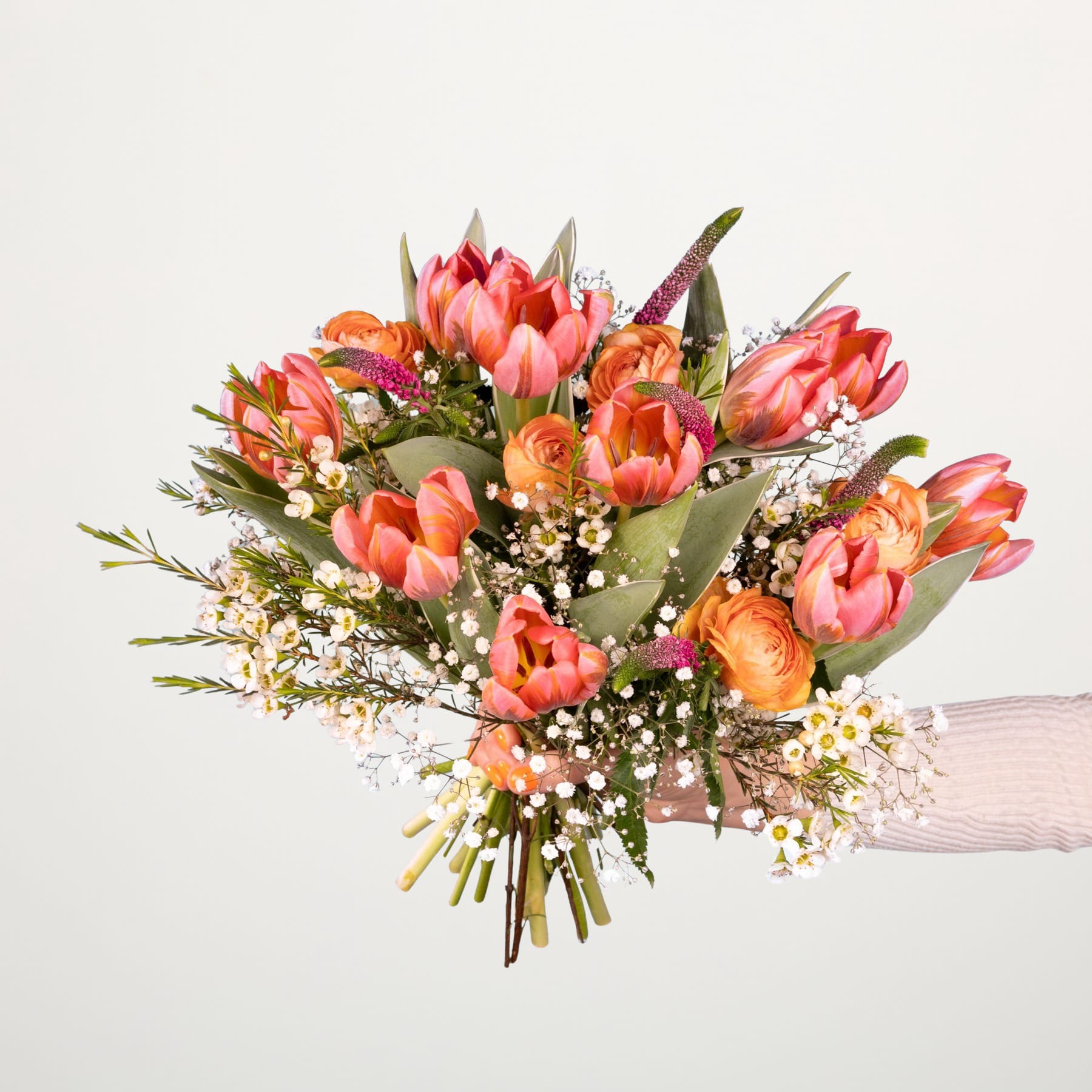 Ein leuchtender Strauß rosa und orangefarbener Tulpen, umgeben von Grün und Schleierkraut, wird vor einem schlichten weißen Hintergrund in den Händen einer Person gehalten.