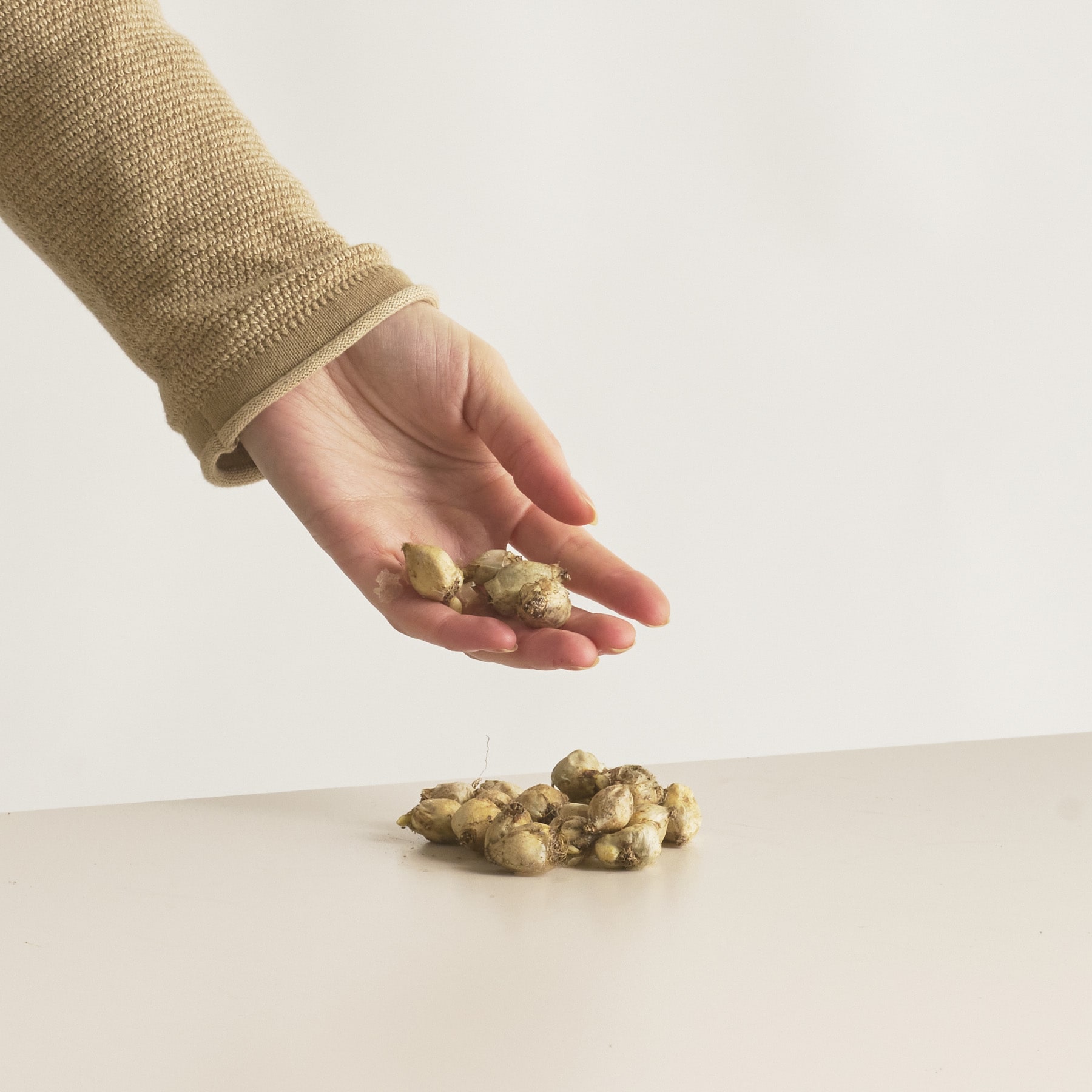Eine Hand in einem beigen Ärmel hält mehrere Stücke einer scheinbar krümeligen, goldfarbenen Substanz und lässt sie auf eine schlichte, helle Oberfläche fallen.
