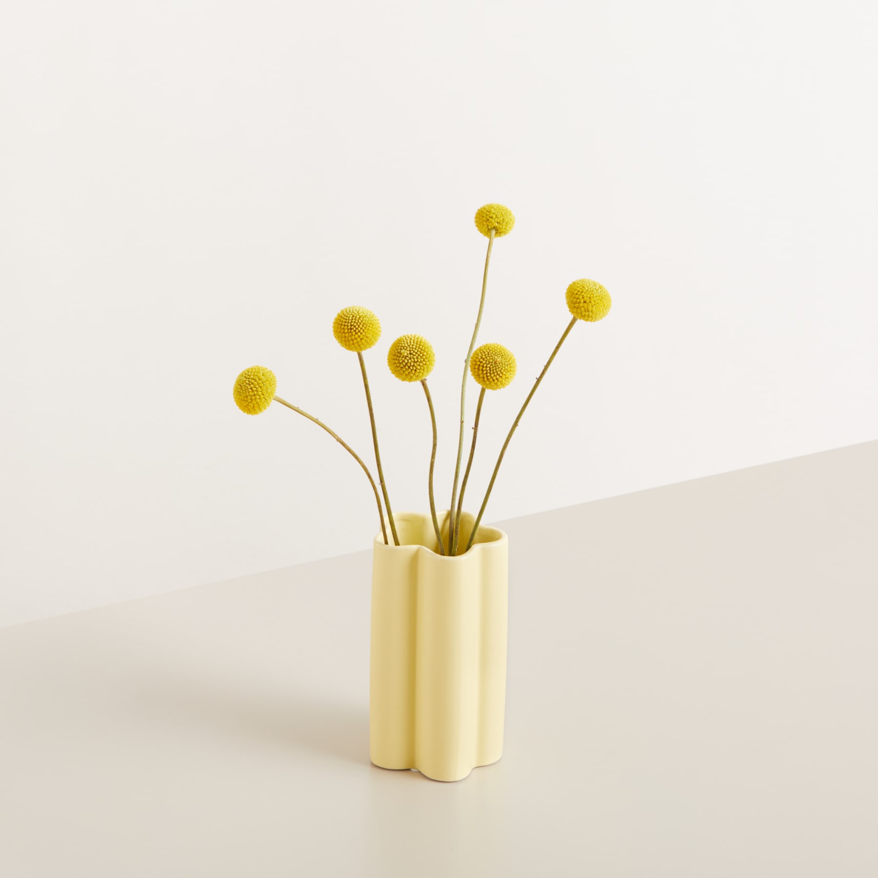 Vor einem schlichten, hellen Hintergrund steht eine Vase mit mehreren leuchtend gelben, kugelförmigen Blumen.