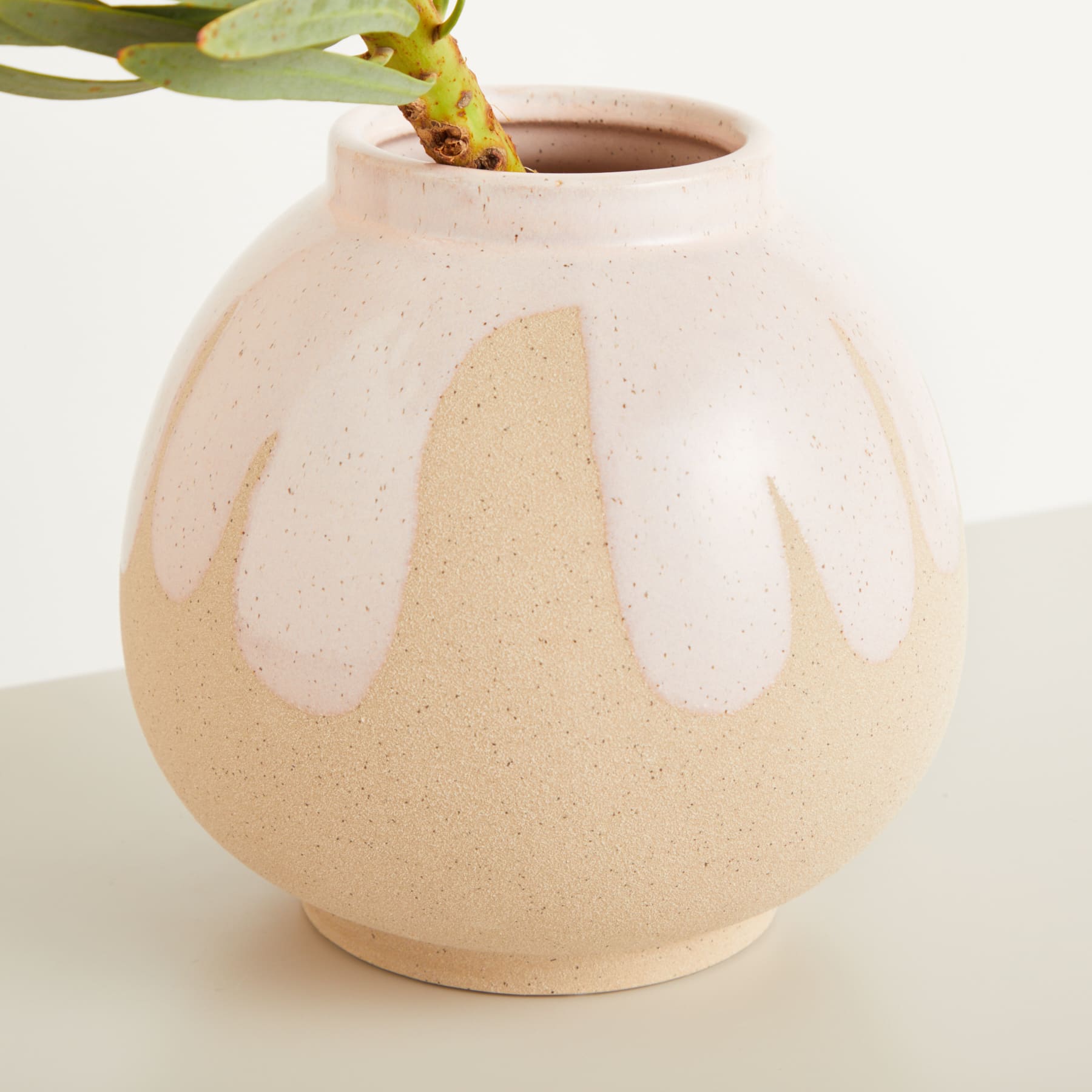 Auf einer hellen Oberfläche steht eine runde, beige Keramikvase mit abstrakten weißen Mustern, aus deren Spitze eine grüne Pflanze ragt.
