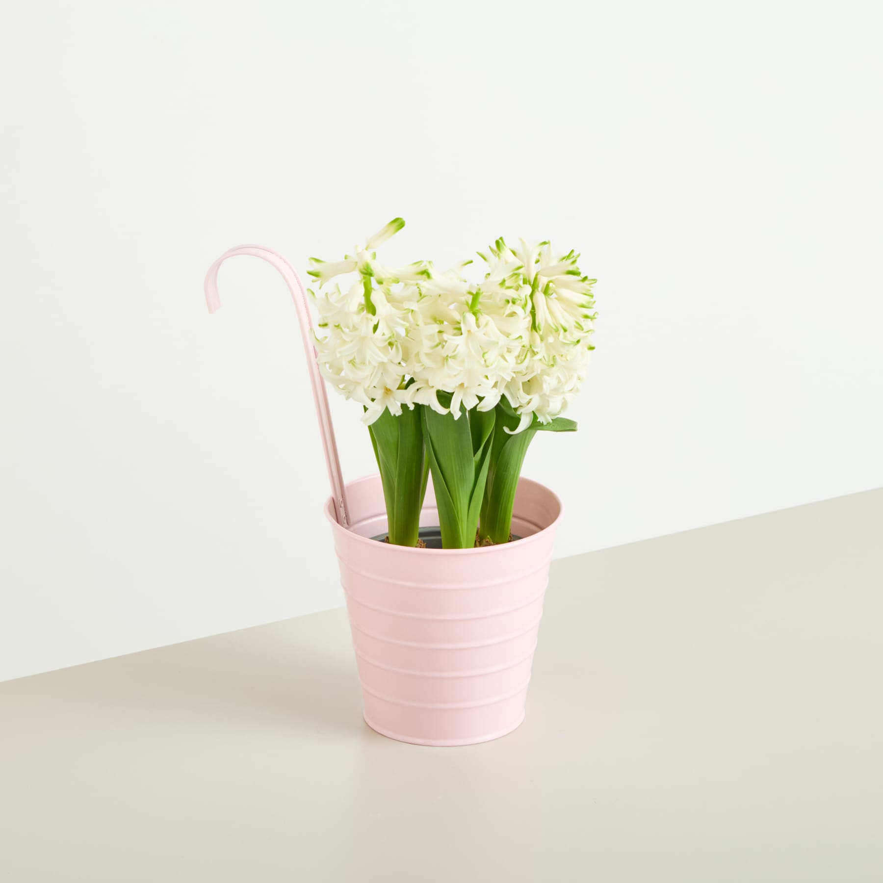 Ein Strauß weißer Hyazinthenblüten in einem rosa Keramiktopf steht auf einer hellen Oberfläche vor einem schlichten weißen Hintergrund.