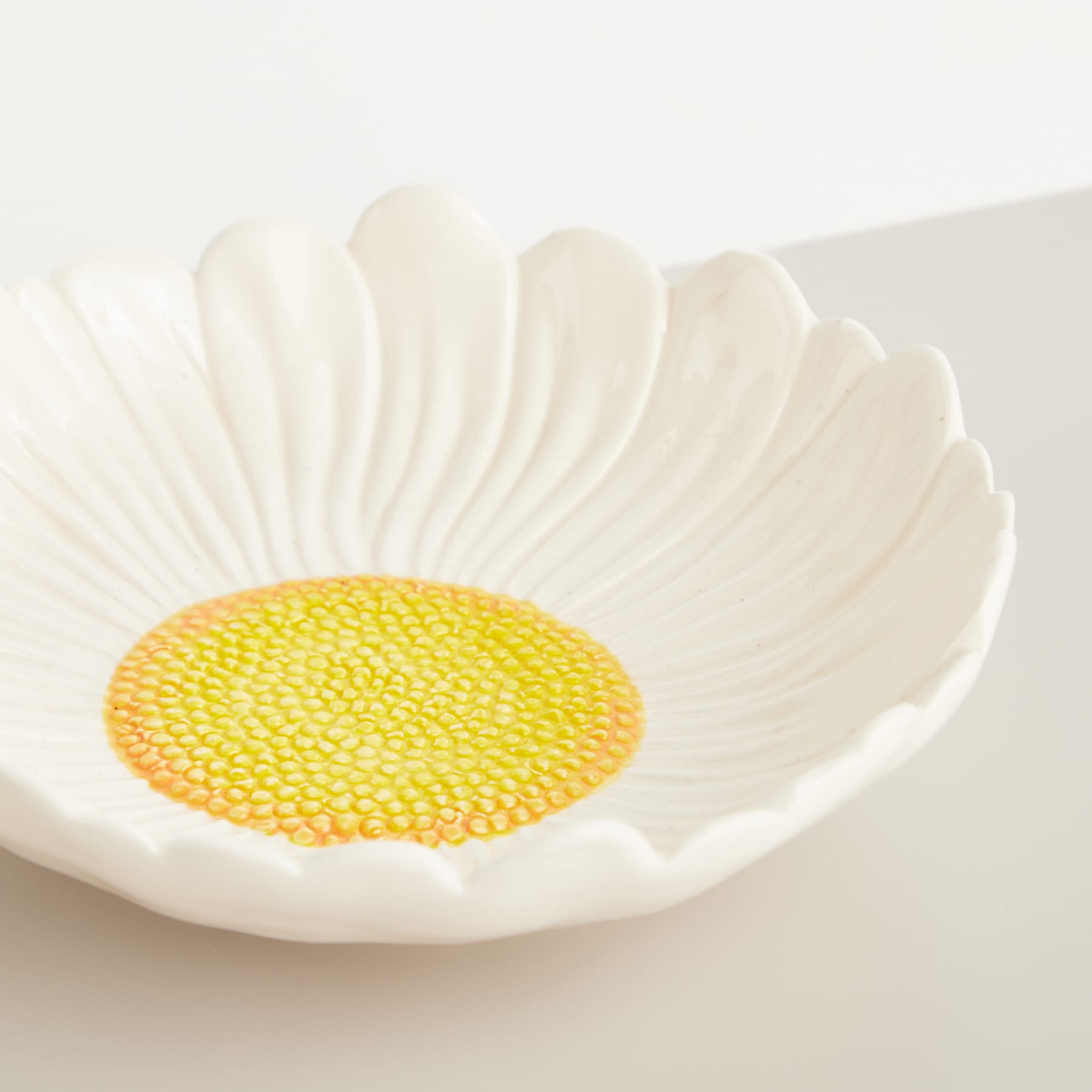 Eine große, weiße, gänseblümchenartige Blume mit einer leuchtend gelben Mitte sitzt auf einer schlichten, hellen Oberfläche.