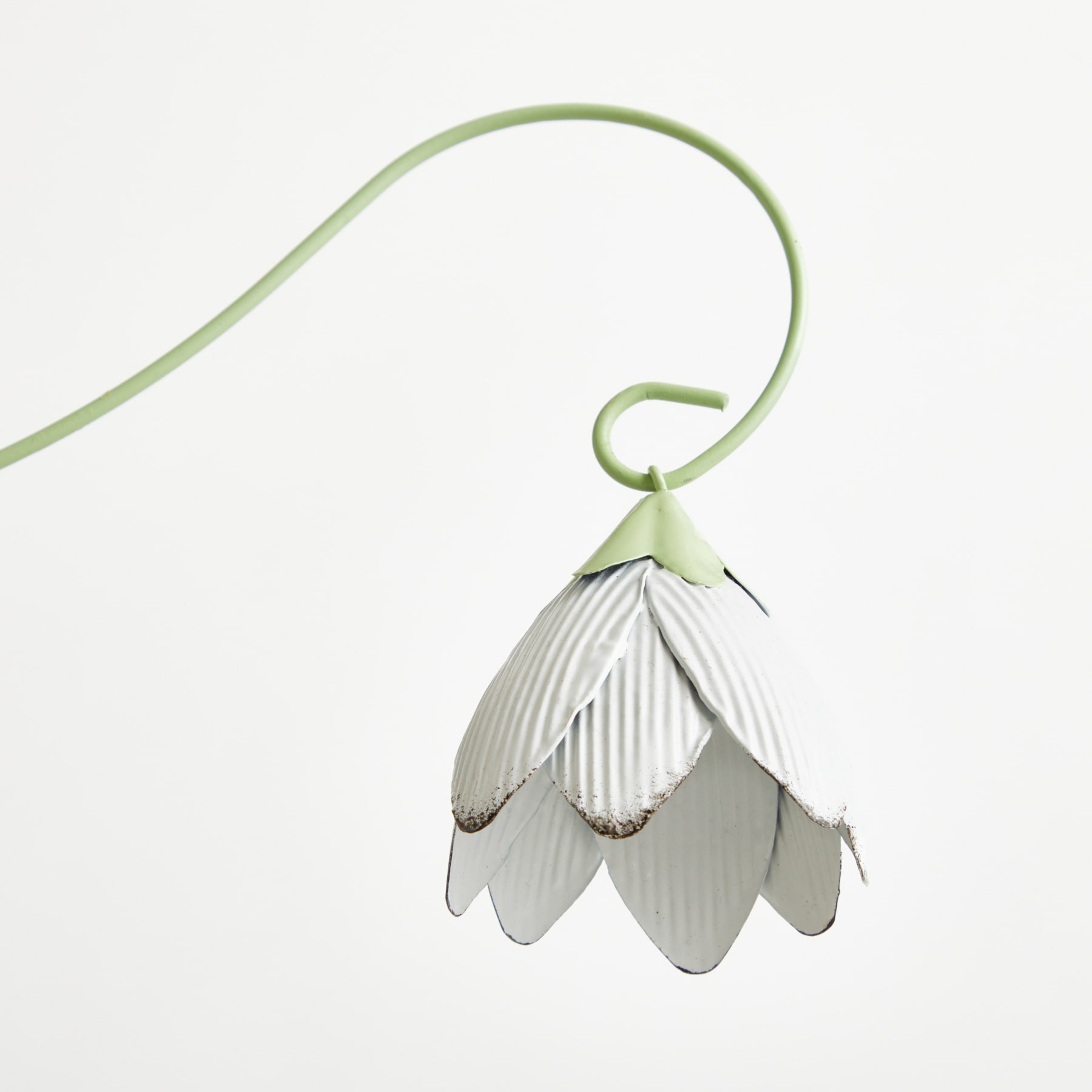Eine zarte weiße Blume mit Blütenblättern, die einer Lotusblüte ähneln, hängt an einem schlanken grünen Stiel vor einem schlichten weißen Hintergrund.