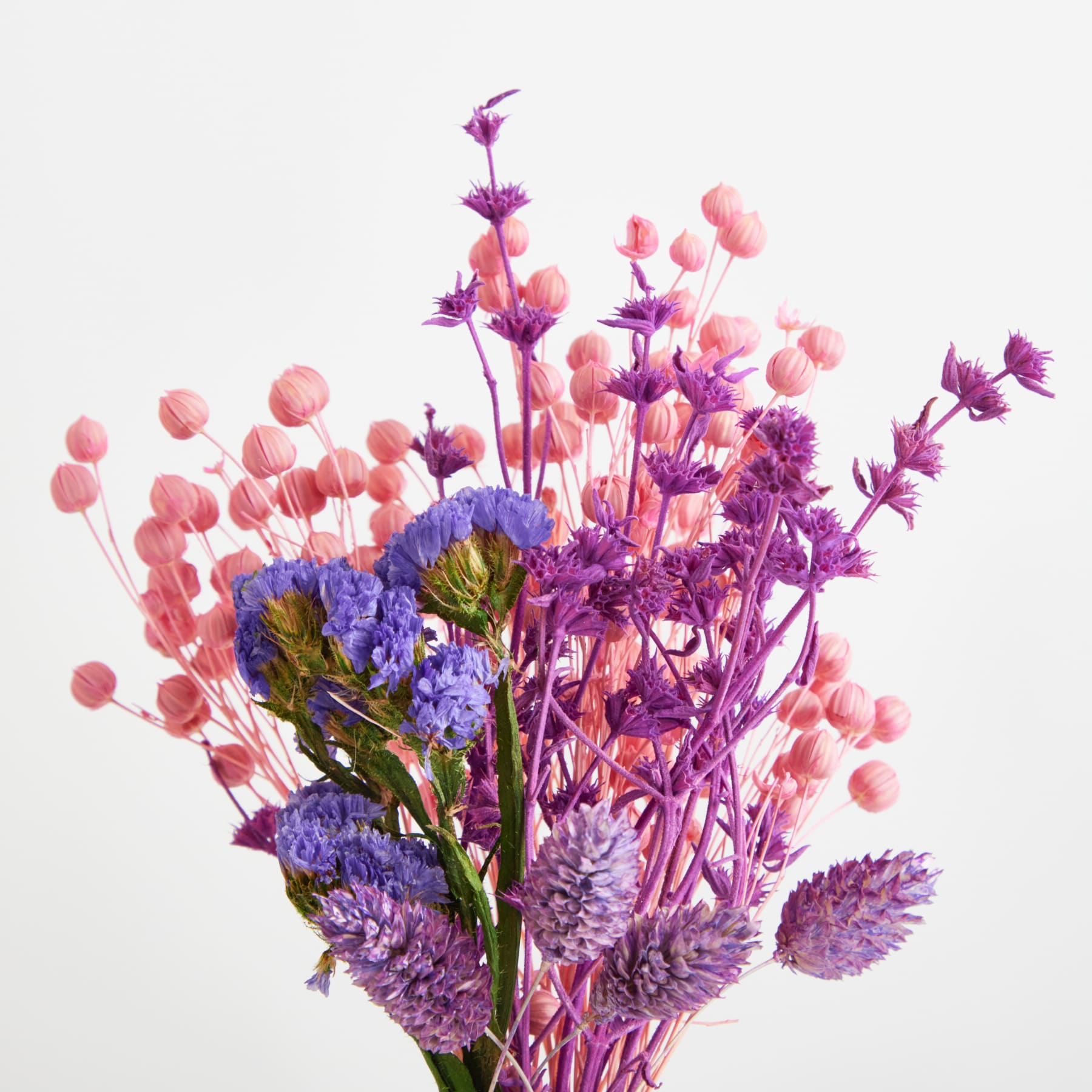 Ein lebendiger Strauß violetter und rosa Blumen, darunter Disteln und andere zarte Blüten, vor einem schlichten weißen Hintergrund.